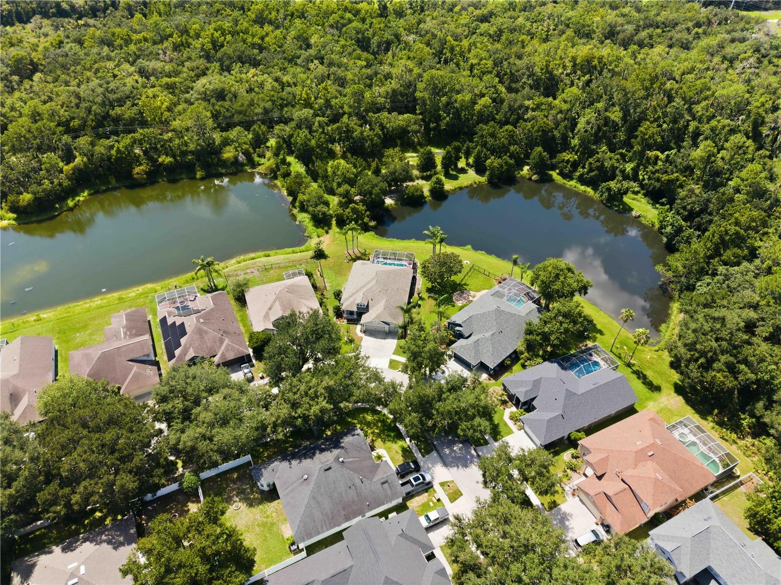 16817 HARRIERRIDGE PL, LITHIA, FL — photo 39