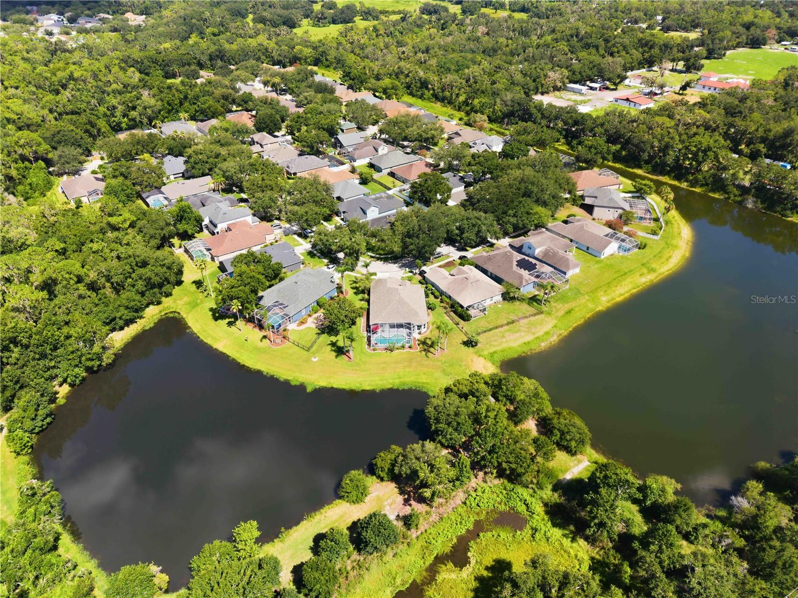 16817 HARRIERRIDGE PL, LITHIA, FL — photo 40
