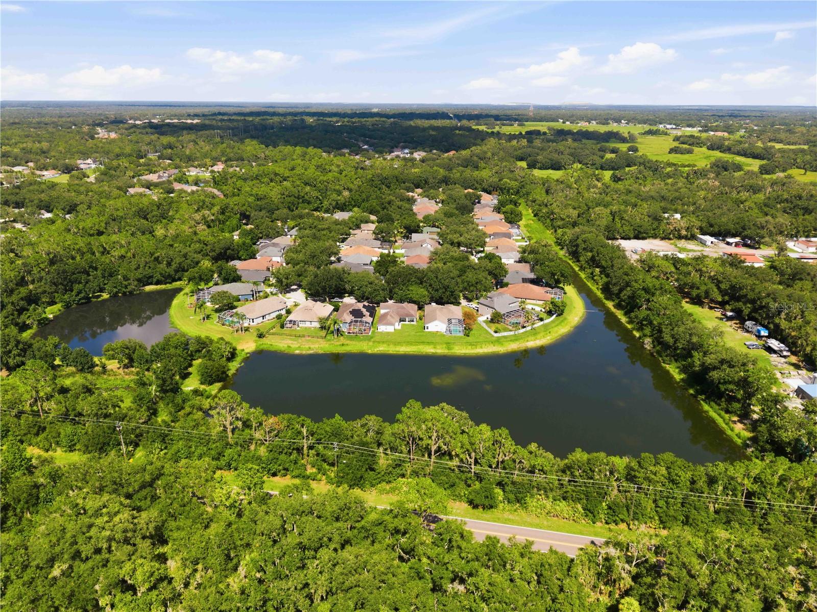 16817 HARRIERRIDGE PL, LITHIA, FL — photo 41