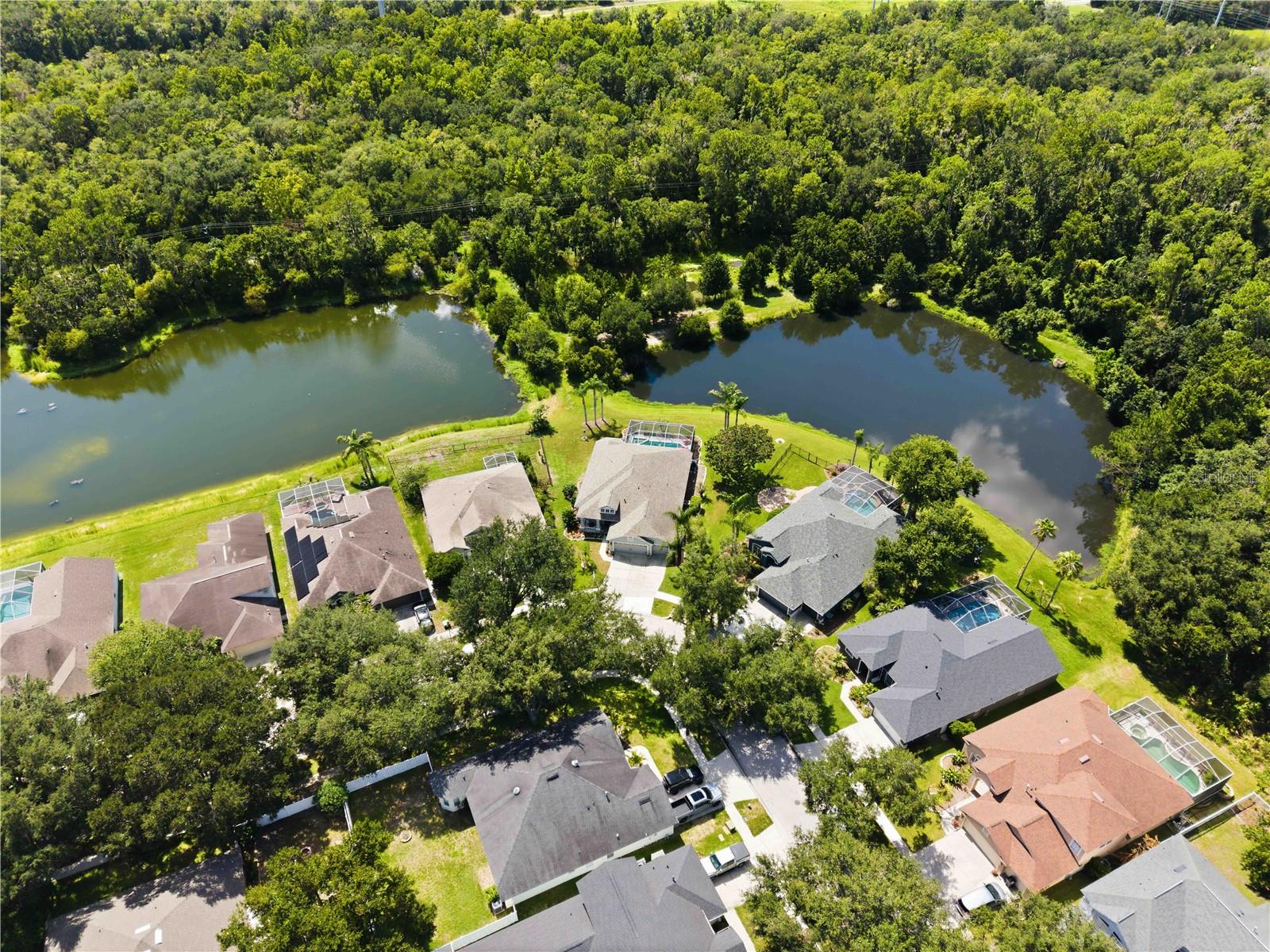 16817 HARRIERRIDGE PL, LITHIA, FL — photo 43