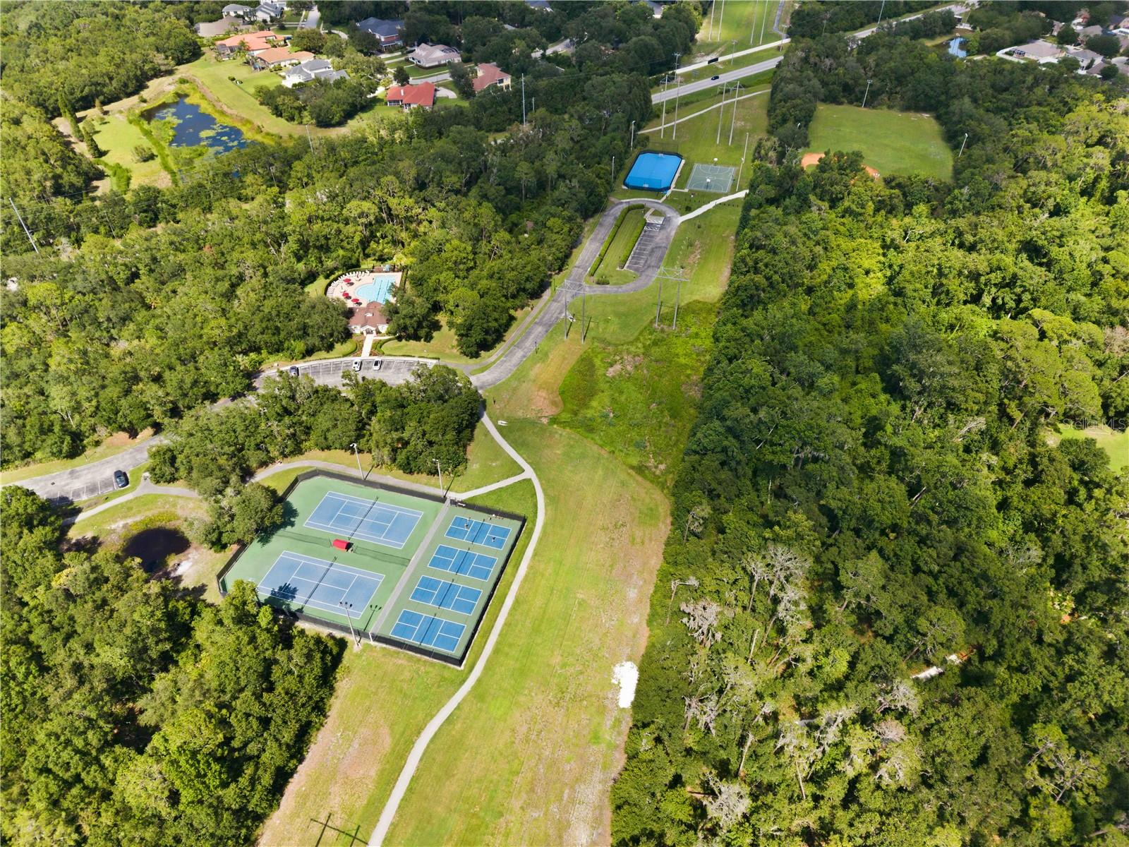 16817 HARRIERRIDGE PL, LITHIA, FL — photo 44