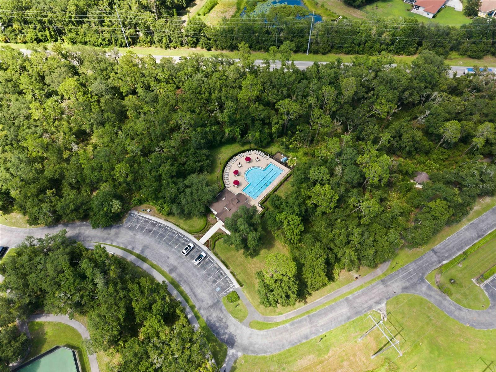 16817 HARRIERRIDGE PL, LITHIA, FL — photo 45
