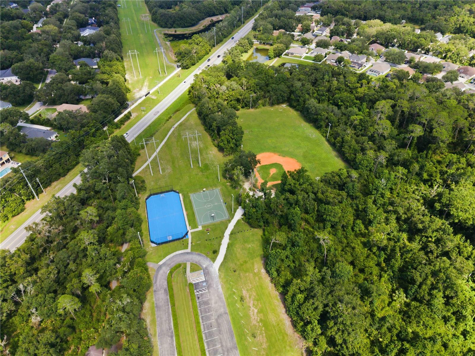 16817 HARRIERRIDGE PL, LITHIA, FL — photo 46