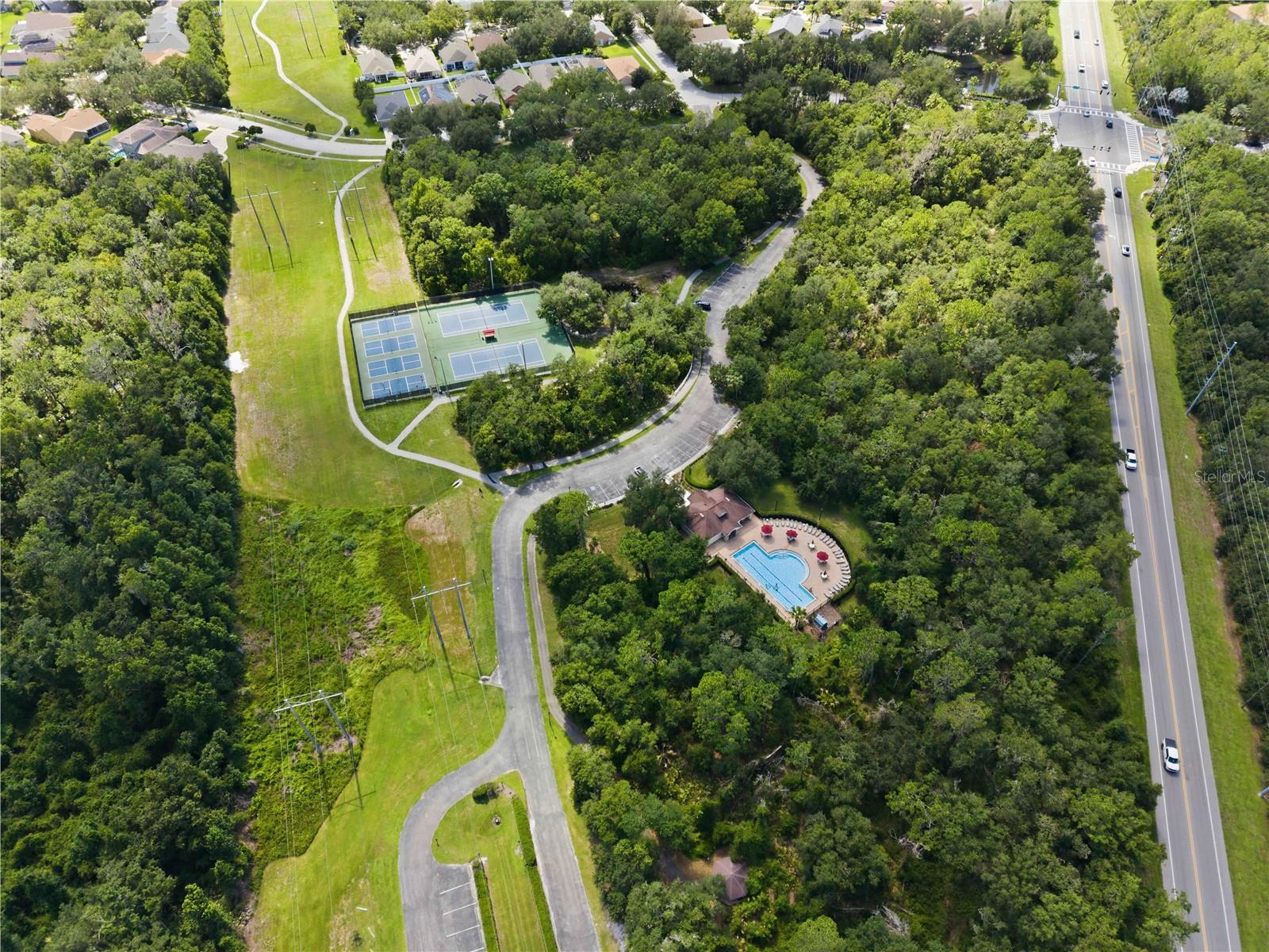 16817 HARRIERRIDGE PL, LITHIA, FL — photo 47