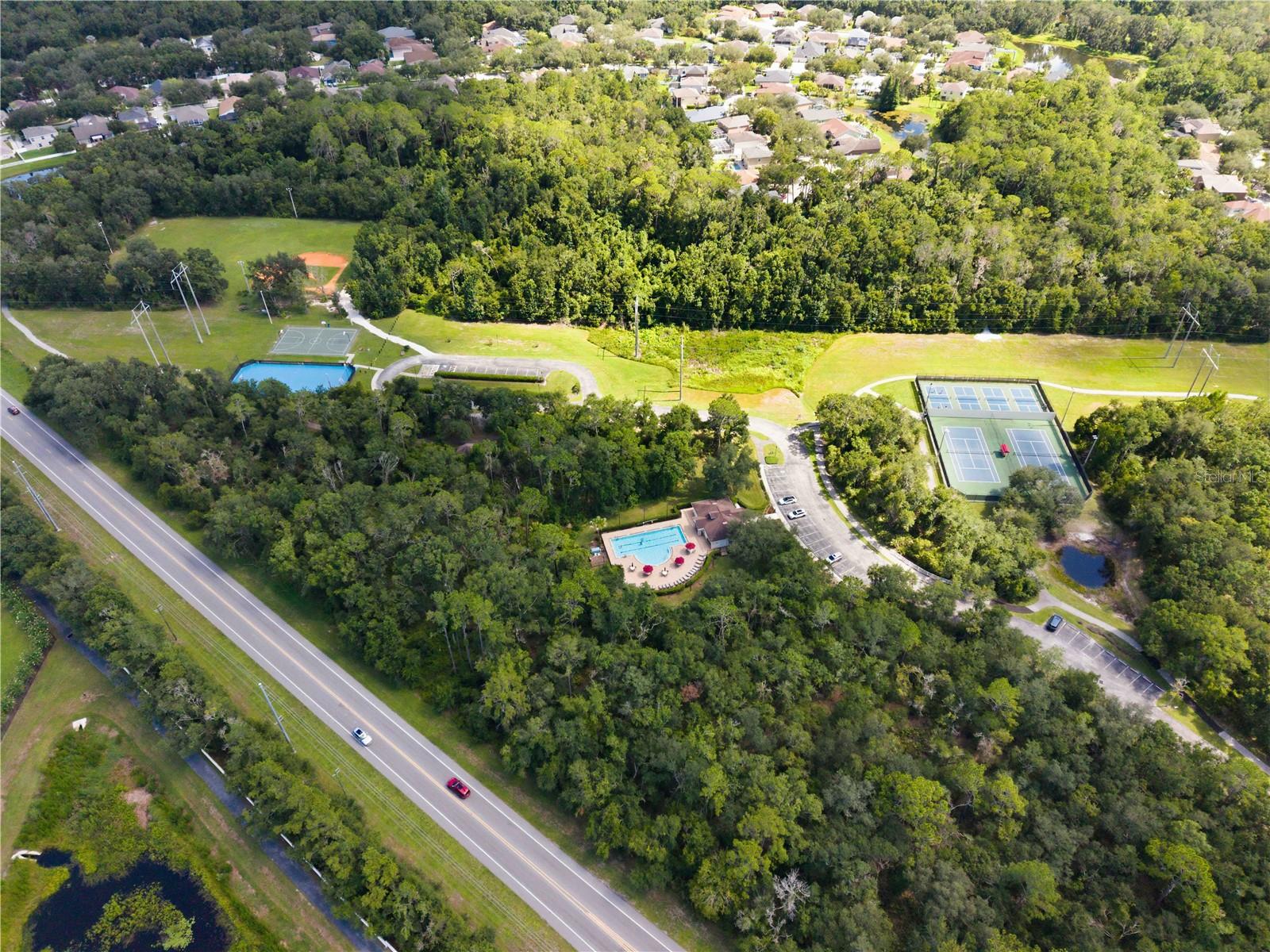 16817 HARRIERRIDGE PL, LITHIA, FL — photo 48