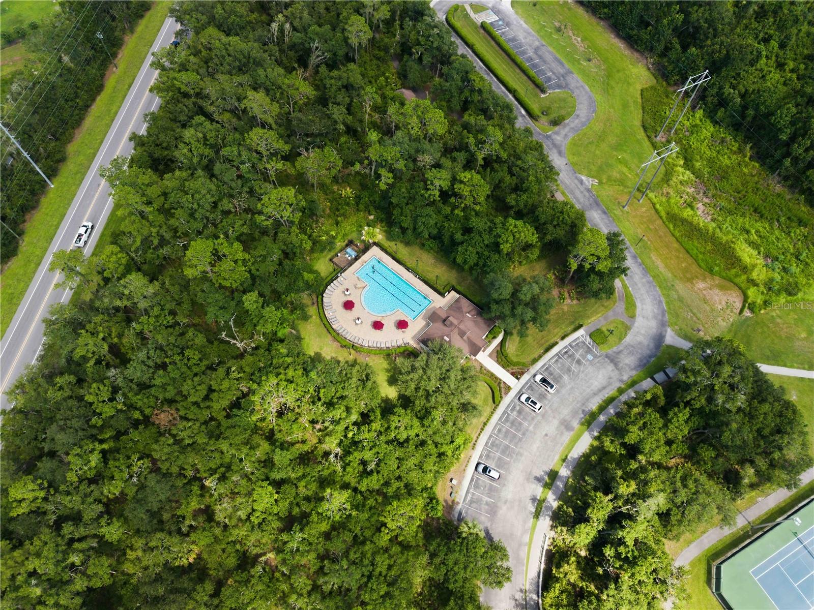 16817 HARRIERRIDGE PL, LITHIA, FL — photo 50