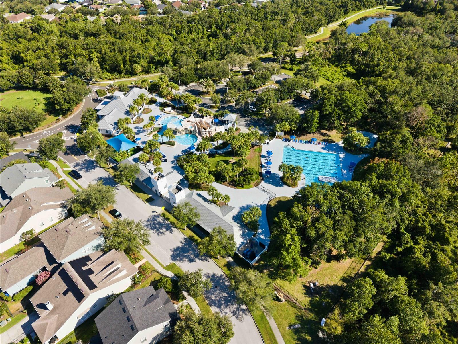 16817 HARRIERRIDGE PL, LITHIA, FL — photo 54