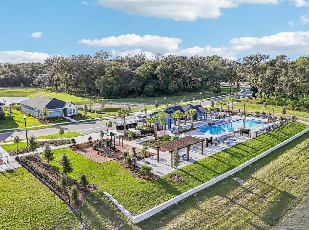 5825 NATIVE OAK ST, MOUNT DORA, FL — photo 8