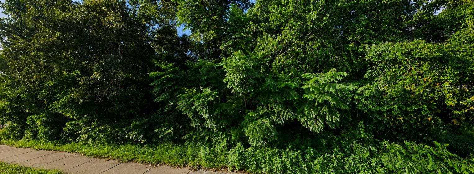 SPRING HILL DR DR, SPRING HILL, FL — photo 2