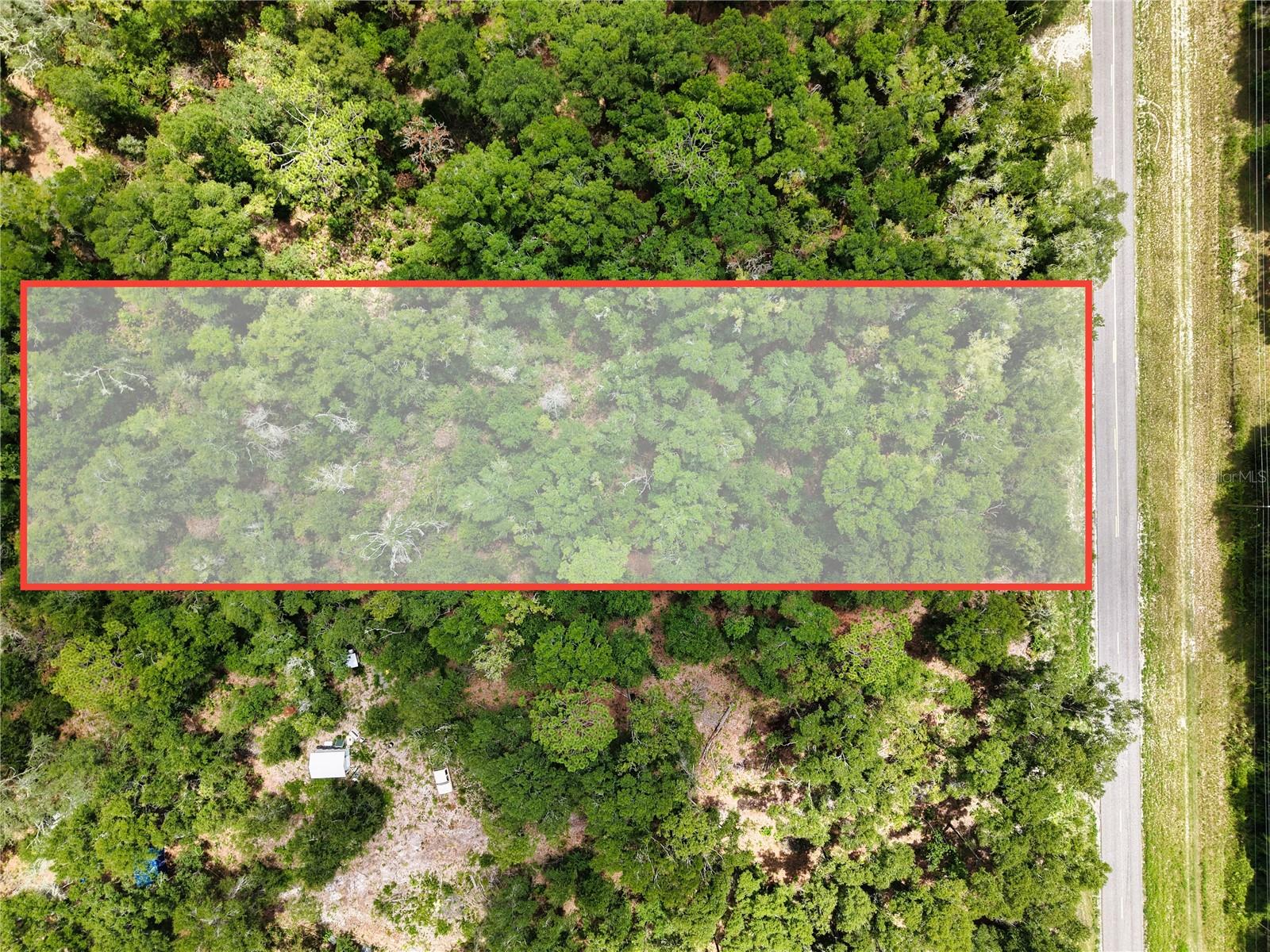 000 NE 410TH AVE, OLD TOWN, FL — photo 2