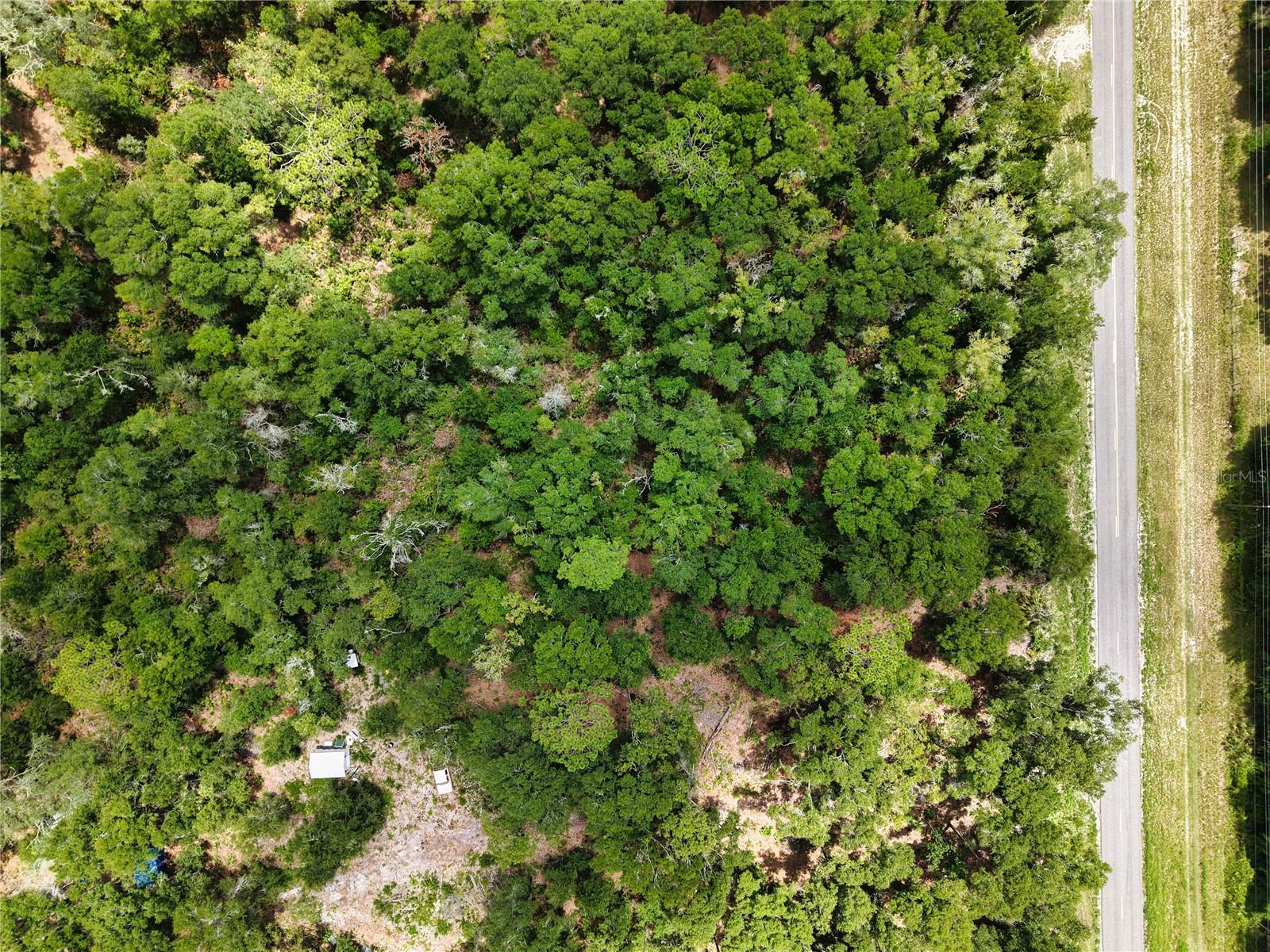 000 NE 410TH AVE, OLD TOWN, FL — photo 3