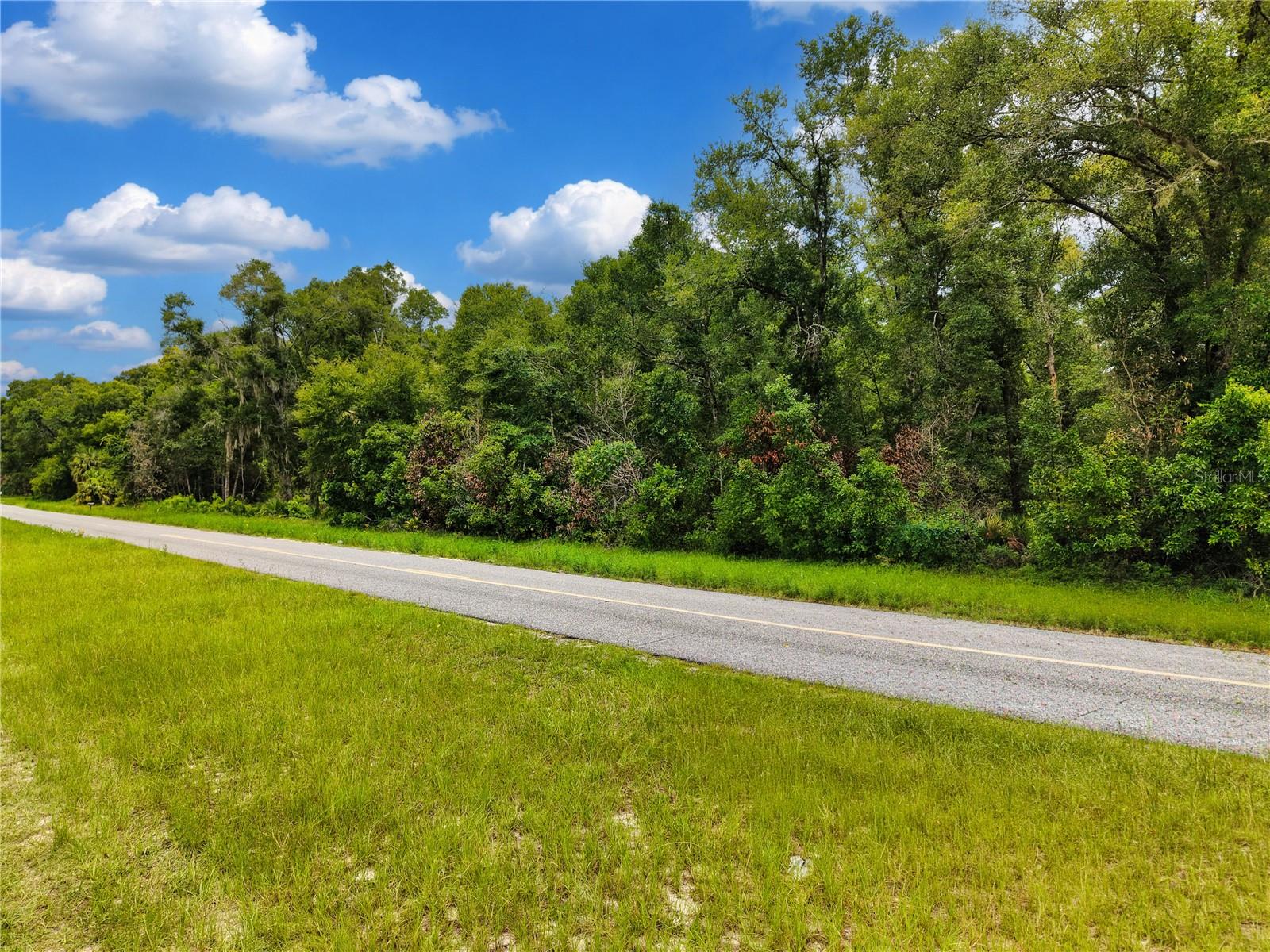 000 NE 410TH AVE, OLD TOWN, FL — photo 8