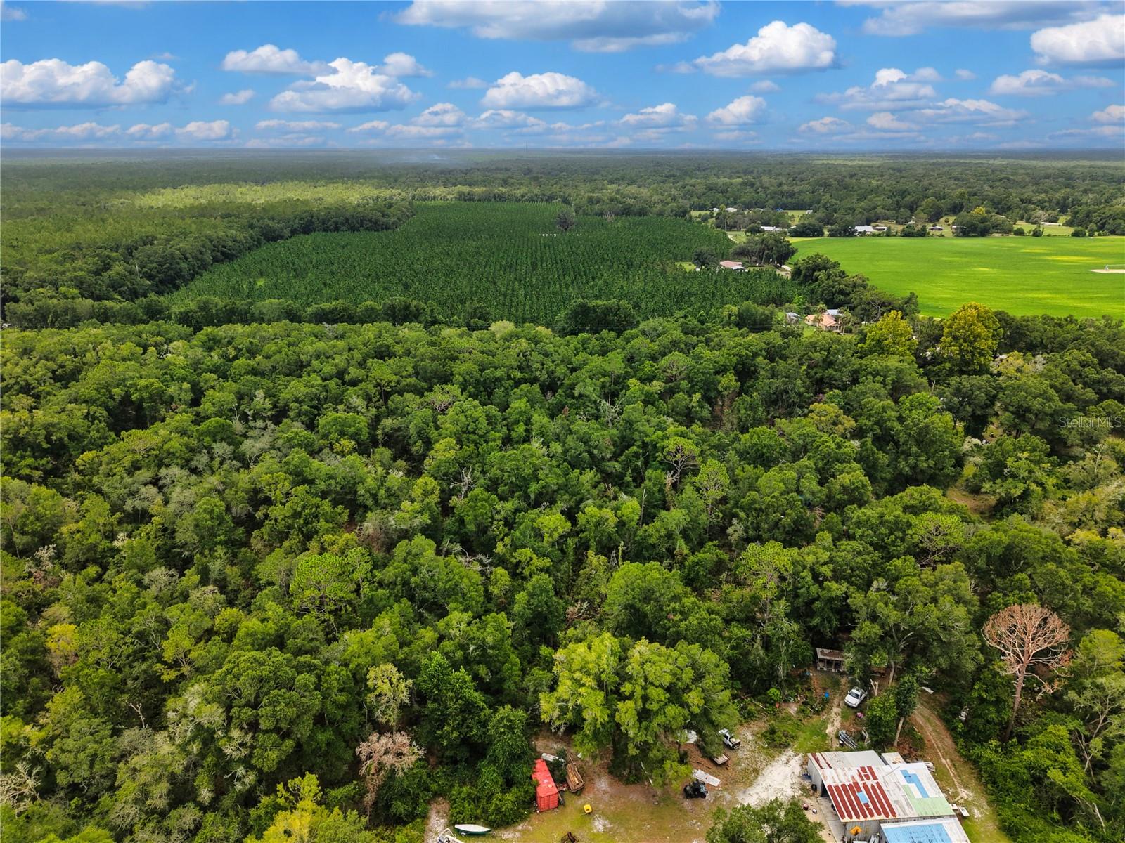 000 NE 410TH AVE, OLD TOWN, FL — photo 12