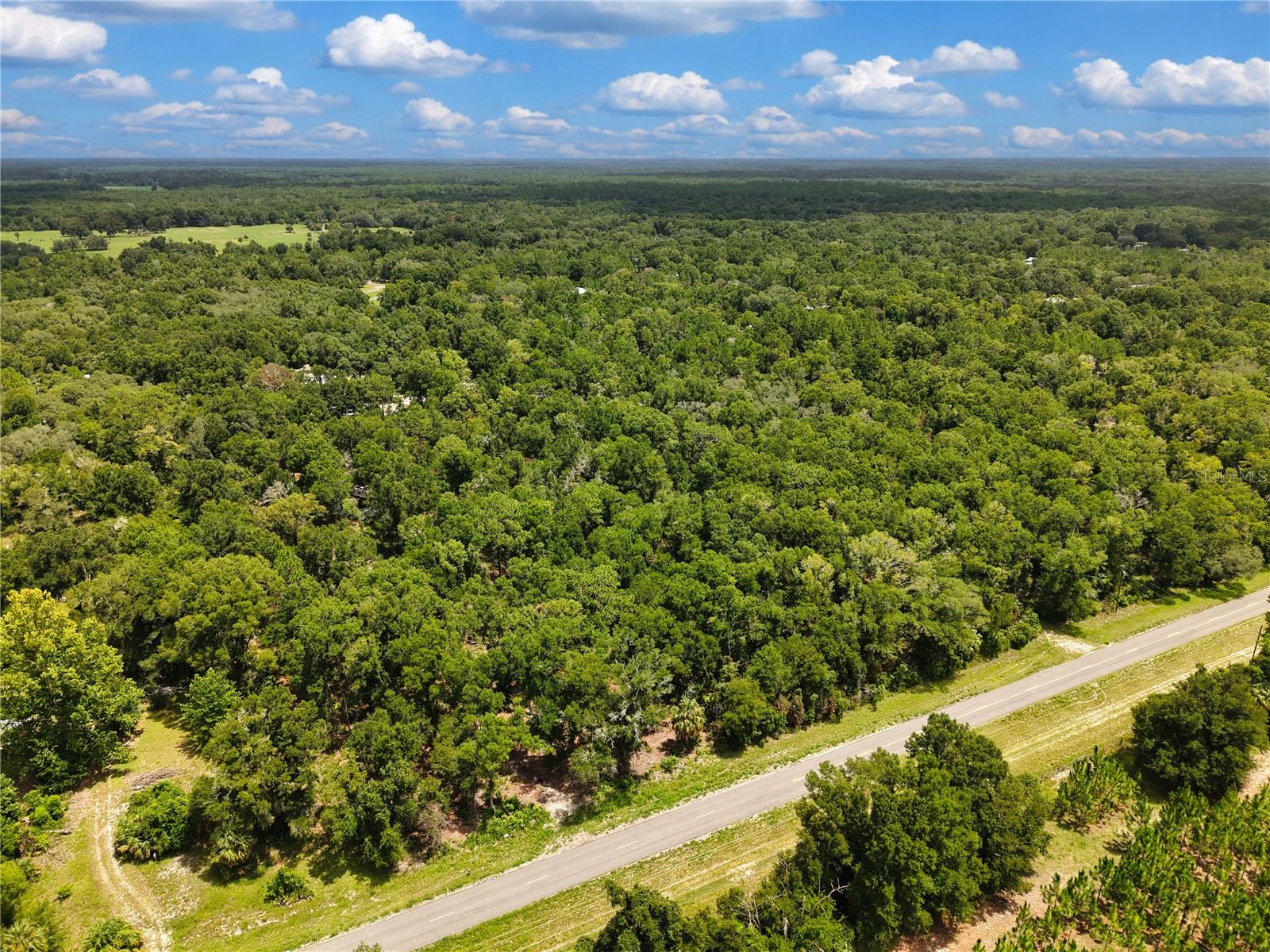 000 NE 410TH AVE, OLD TOWN, FL — photo 15