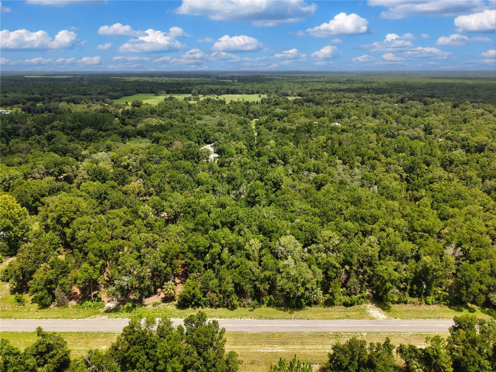 000 NE 410TH AVE, OLD TOWN, FL — photo 16