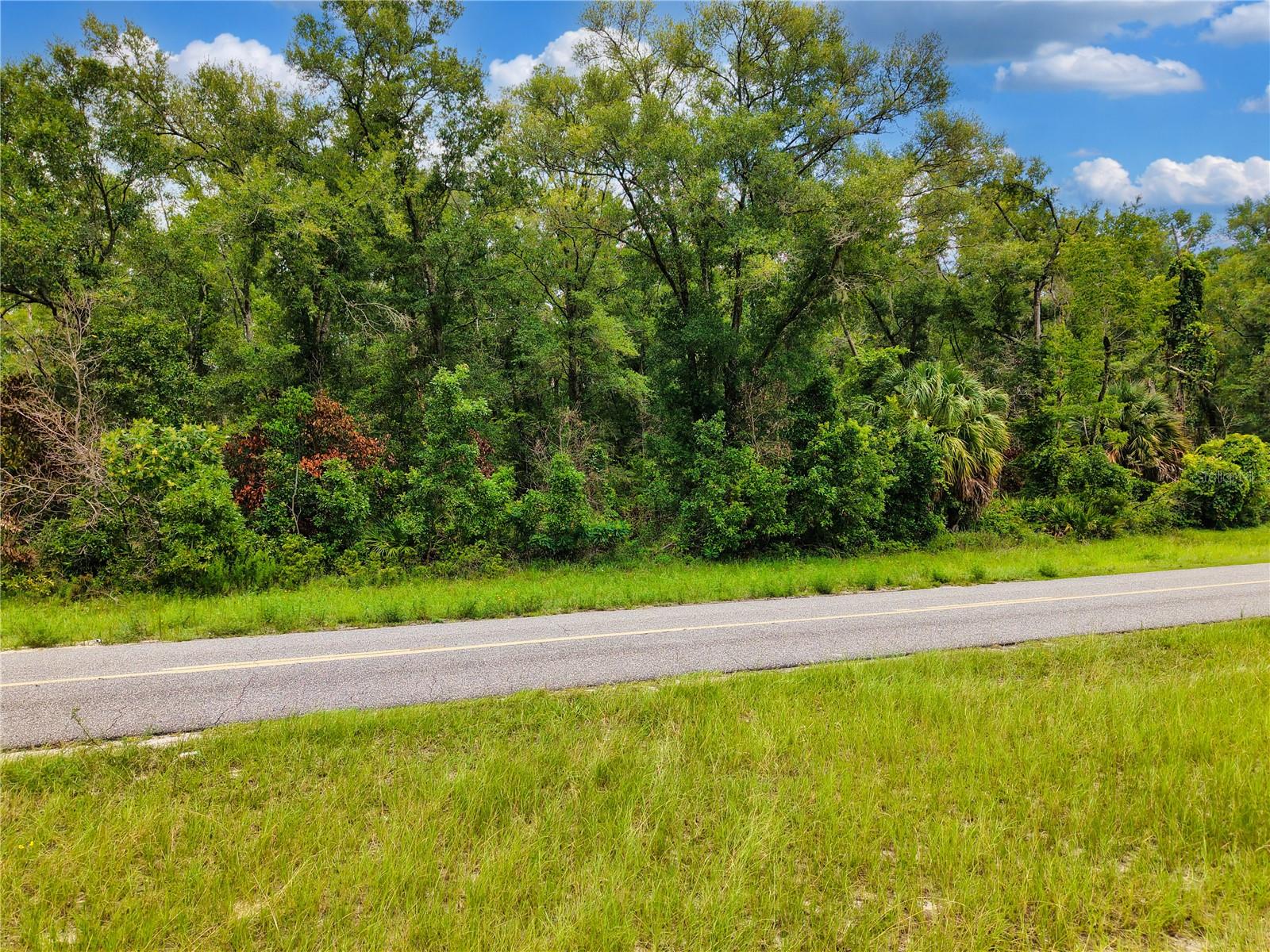 000 NE 410TH AVE, OLD TOWN, FL — photo 17