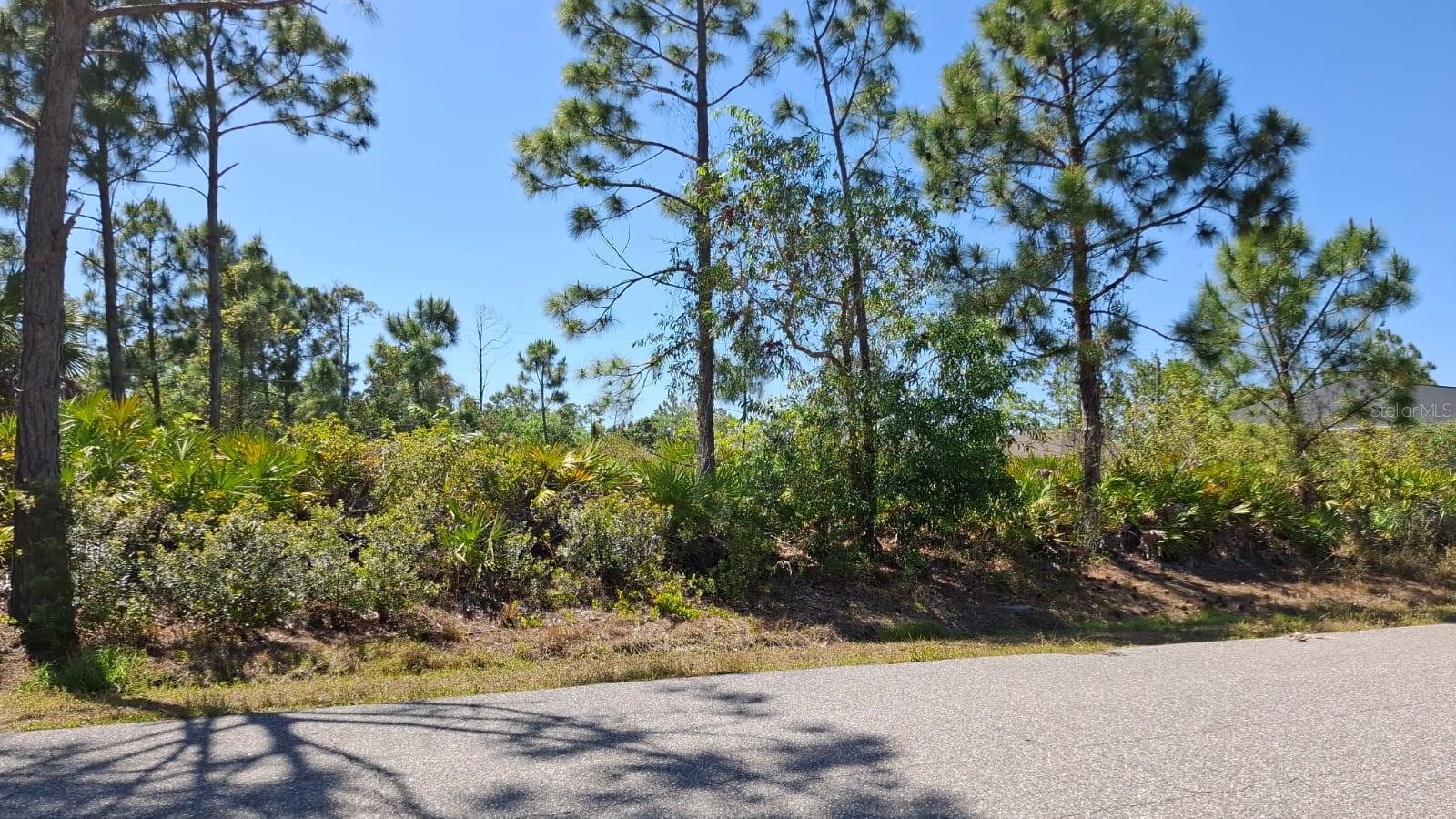 5541 GULFPORT TER, PORT CHARLOTTE, FL — photo 3