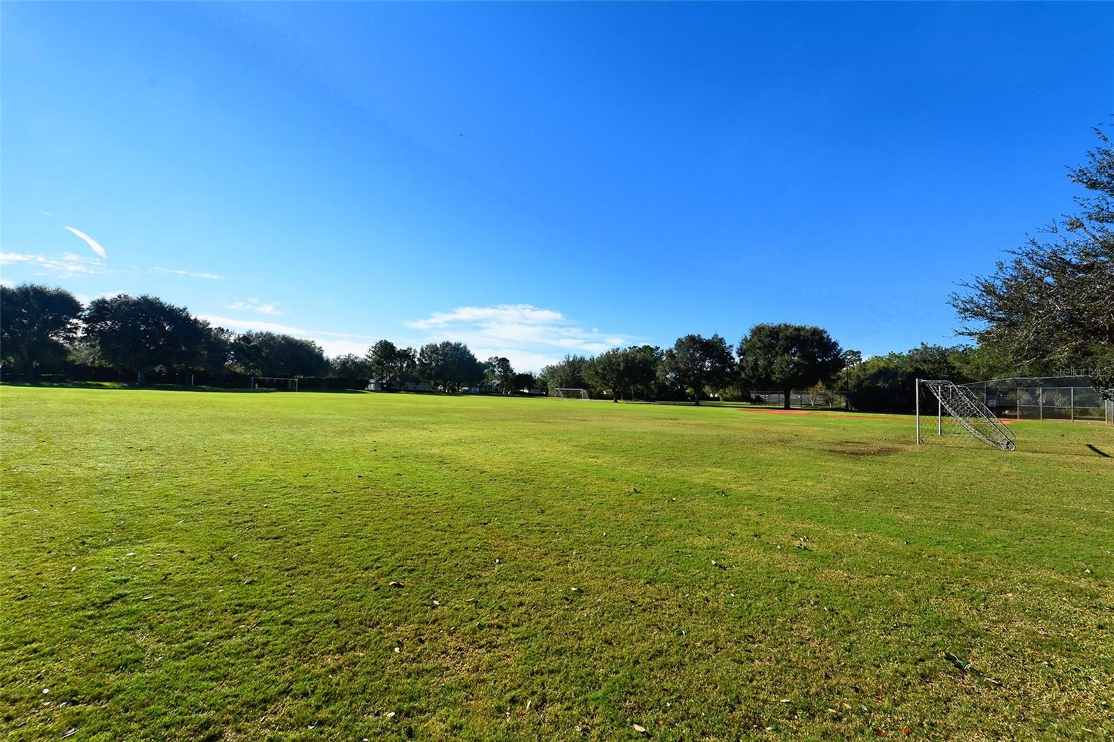 12630 ROCKROSE GLN, LAKEWOOD RANCH, FL — photo 29