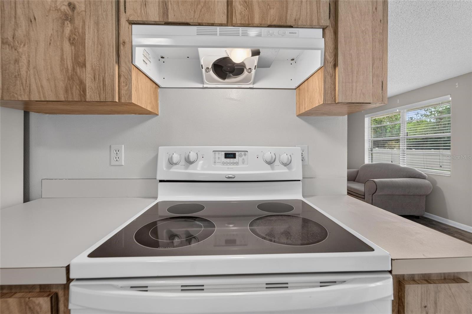 3414 KING GEORGE LN, SEFFNER, FL — photo 43