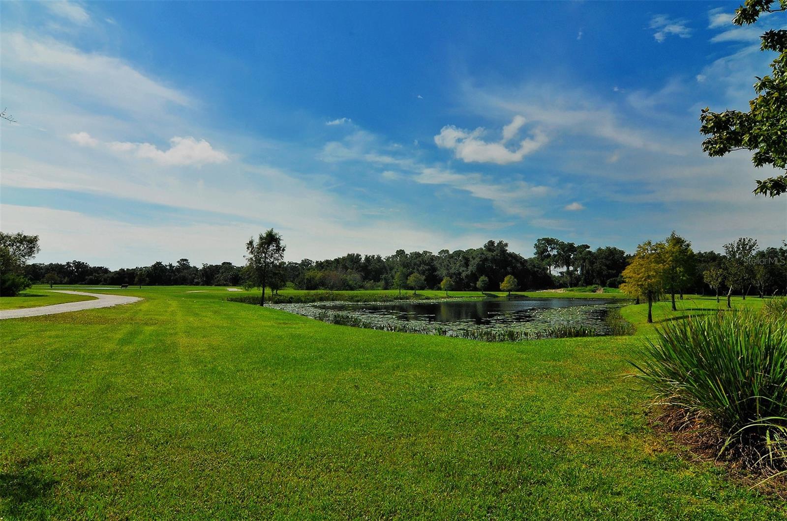 14908 BOWFIN TER, LAKEWOOD RANCH, FL — photo 58