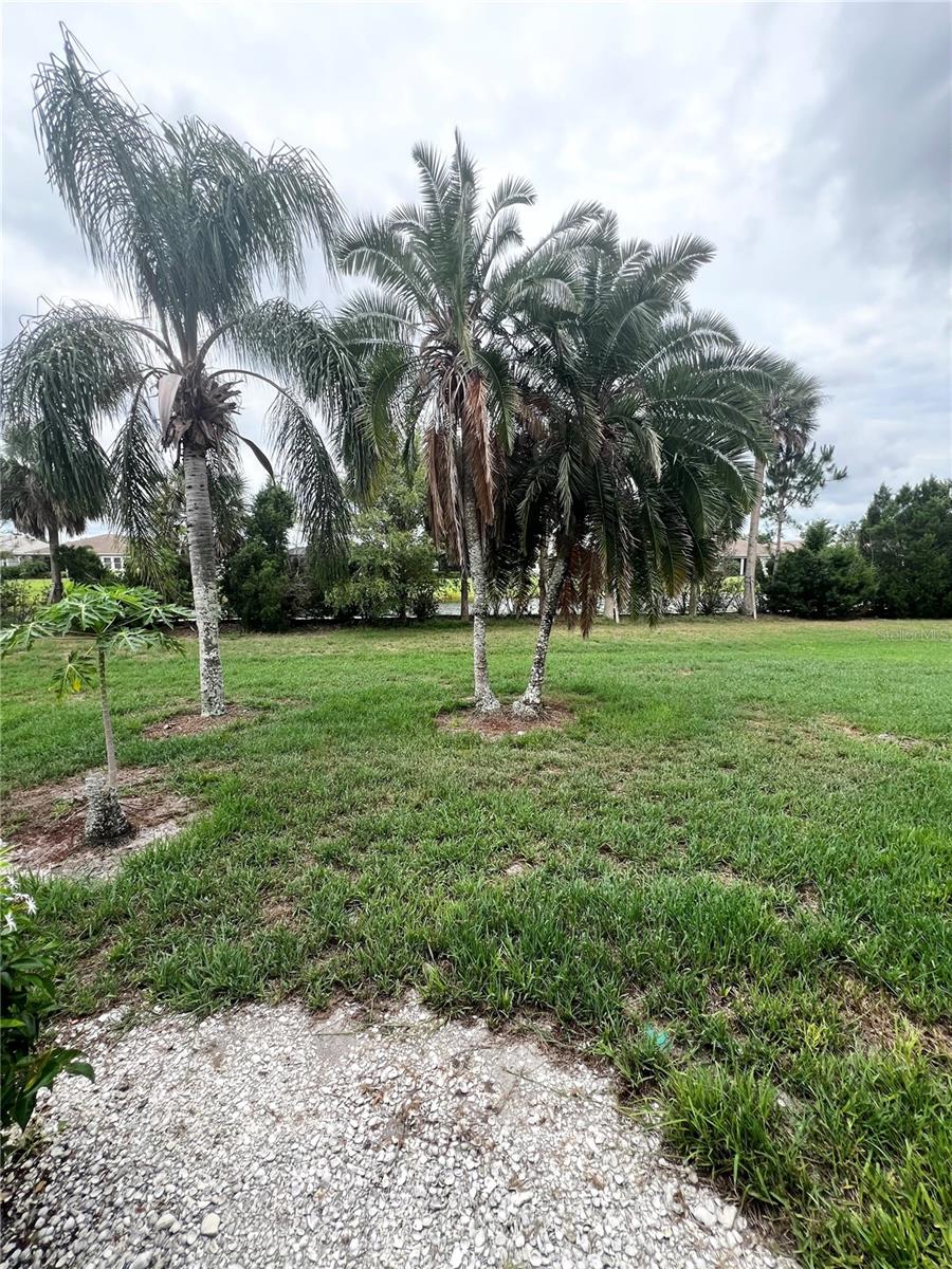 6214 DRAW LN #4, SARASOTA, FL — photo 25