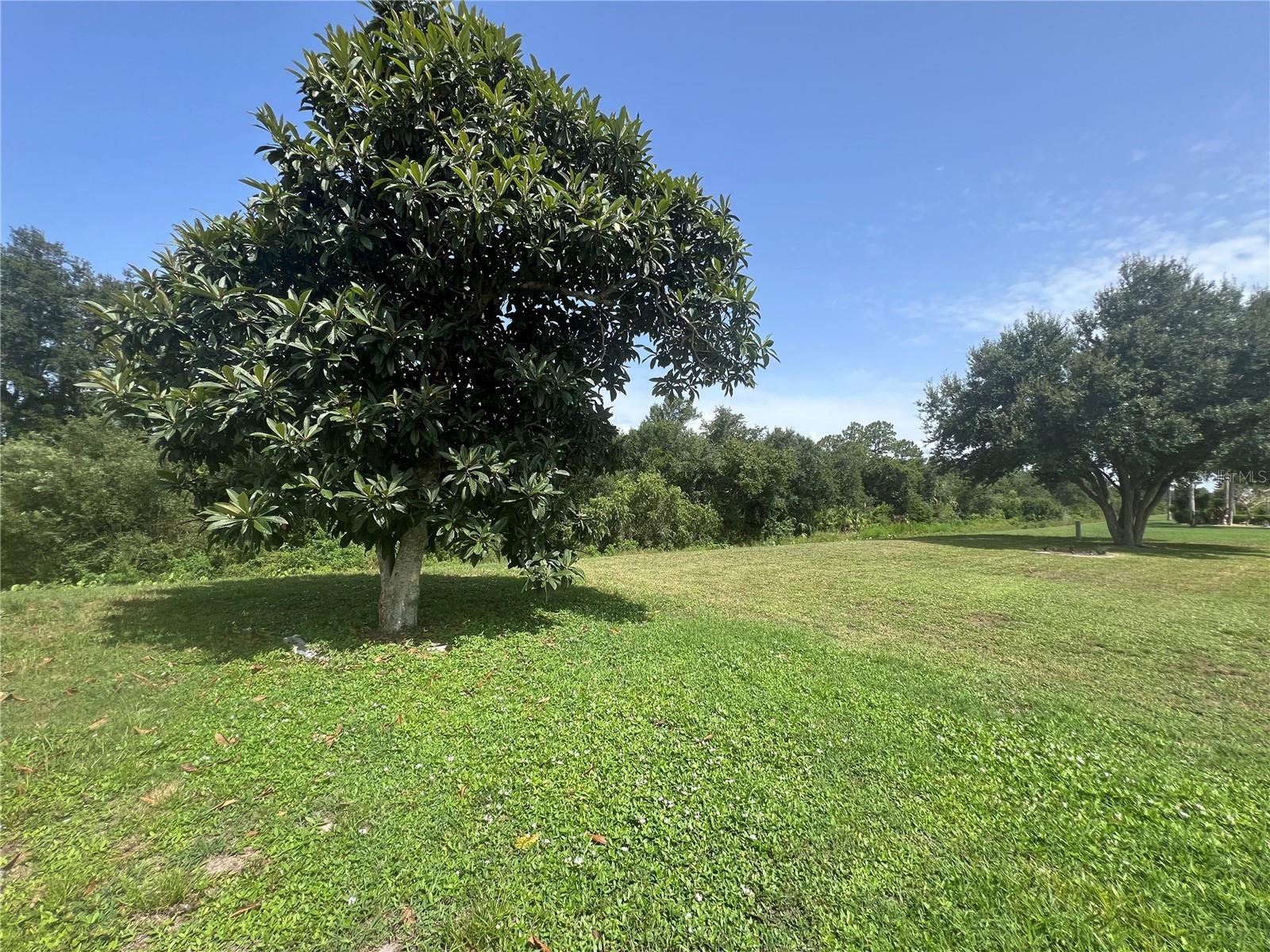 2300 MAURITANIA RD, PUNTA GORDA, FL — photo 42