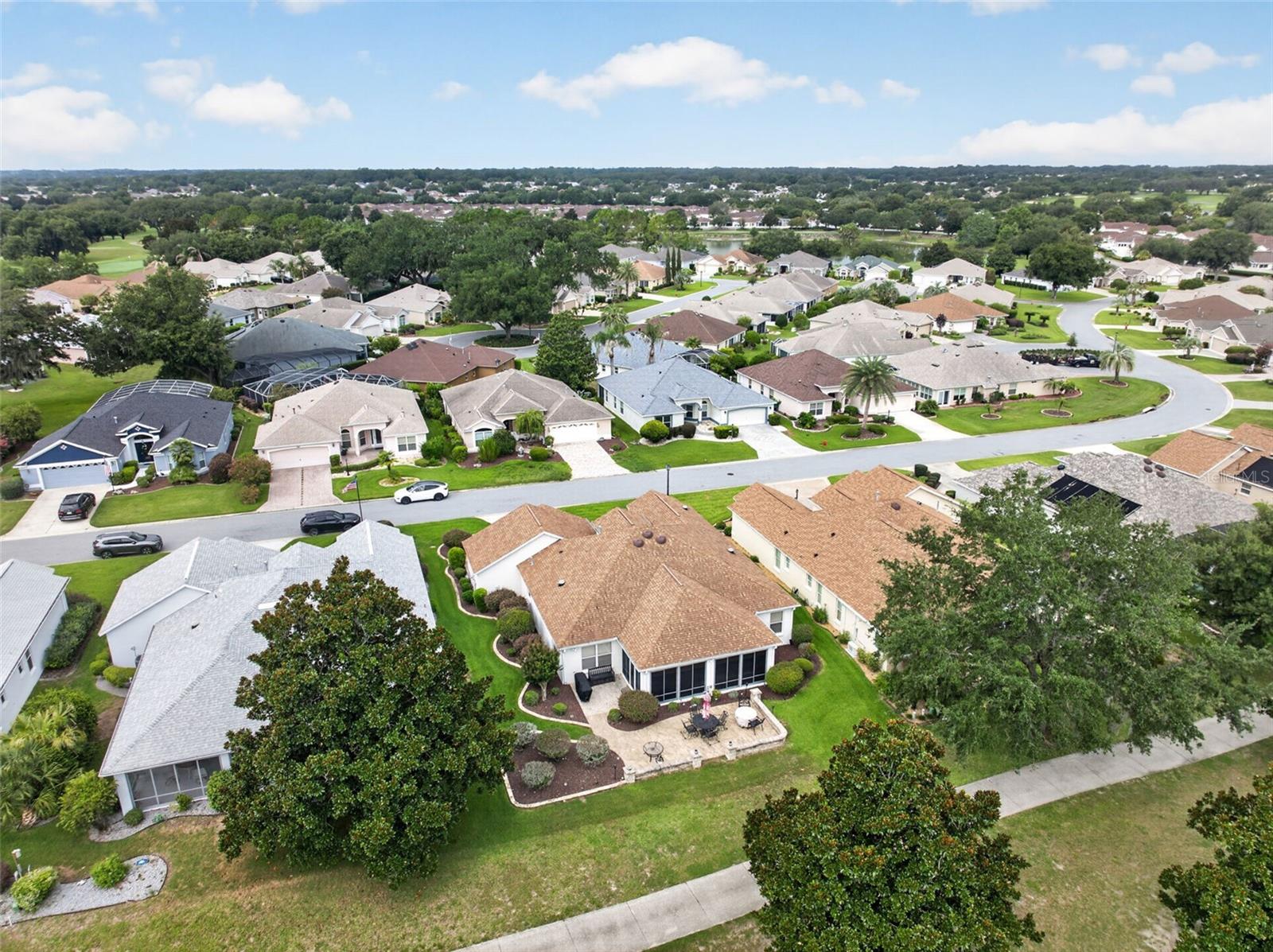 17246 SE 85TH WILLOWICK CIR, THE VILLAGES, FL — photo 50