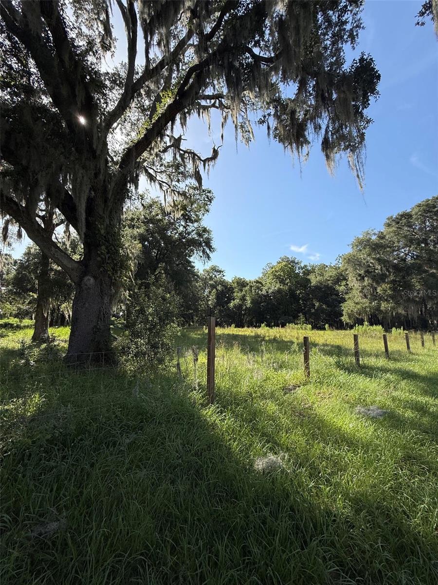 13726 SE 8 CT, OCALA, FL — photo 2