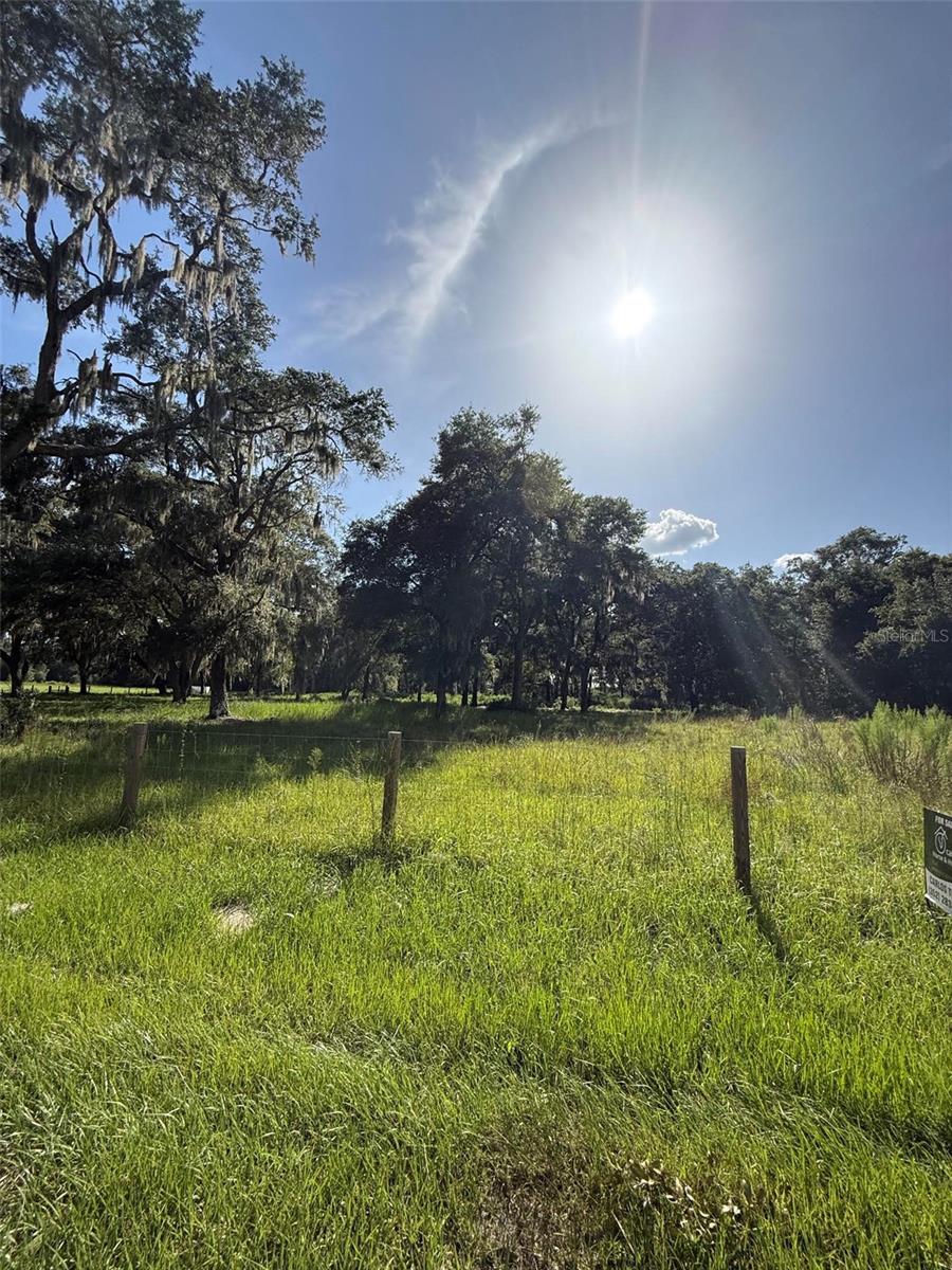 13726 SE 8 CT, OCALA, FL — photo 3