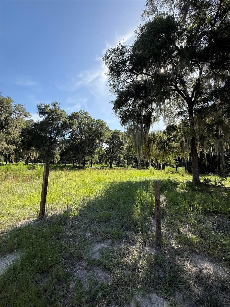 13726 SE 8 CT, OCALA, FL — photo 5