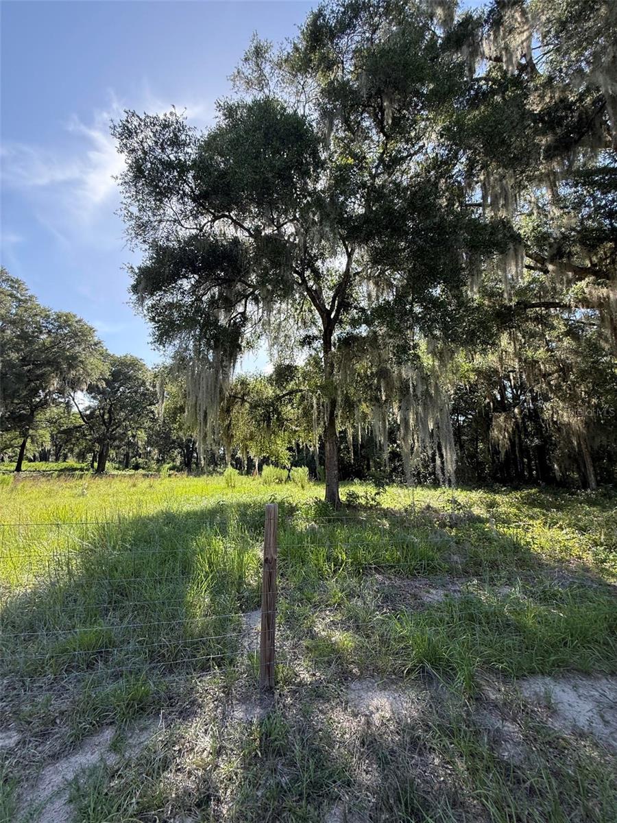 13726 SE 8 CT, OCALA, FL — photo 6