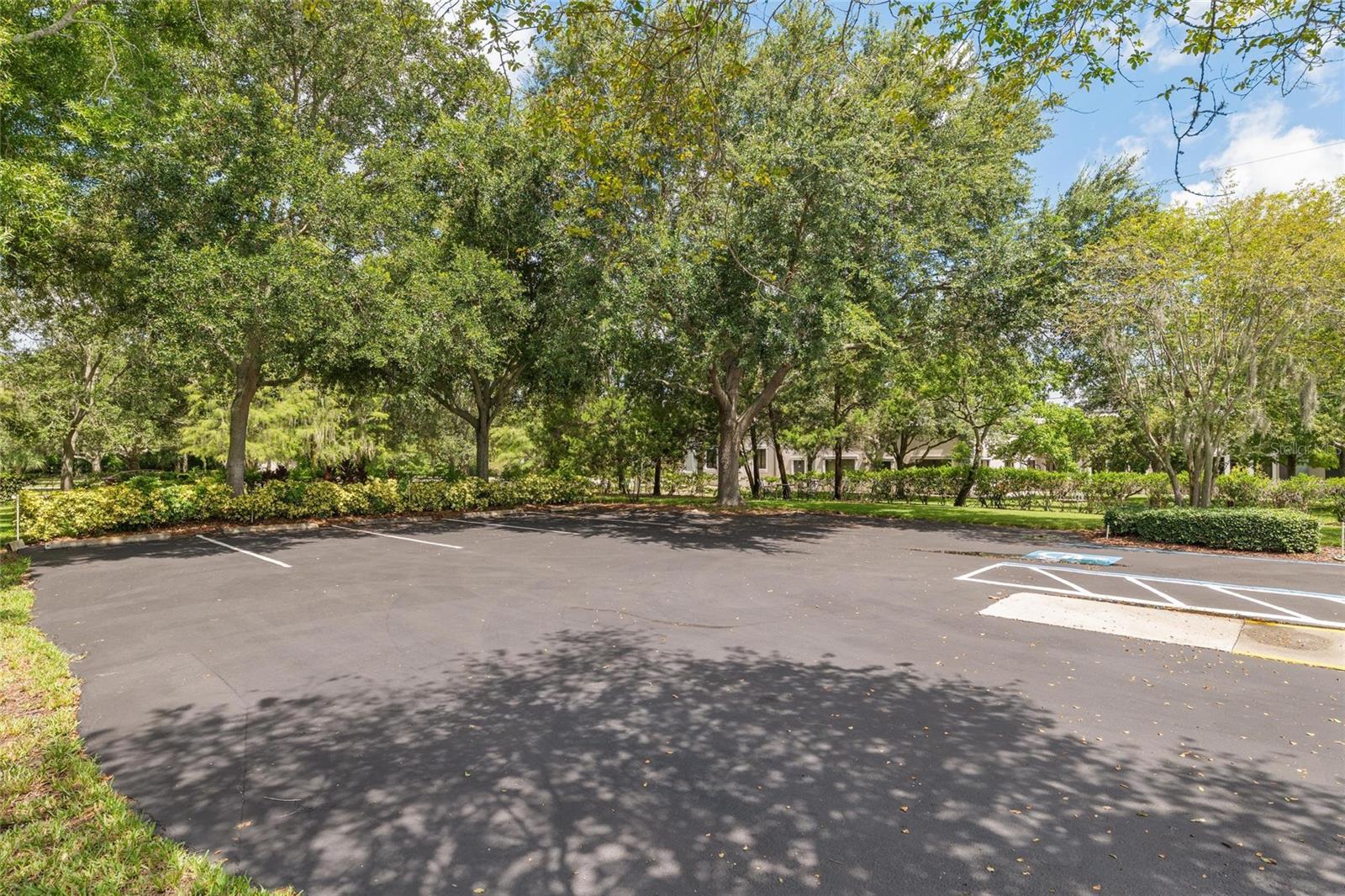 3150 N MCMULLEN BOOTH RD, CLEARWATER, FL — photo 13