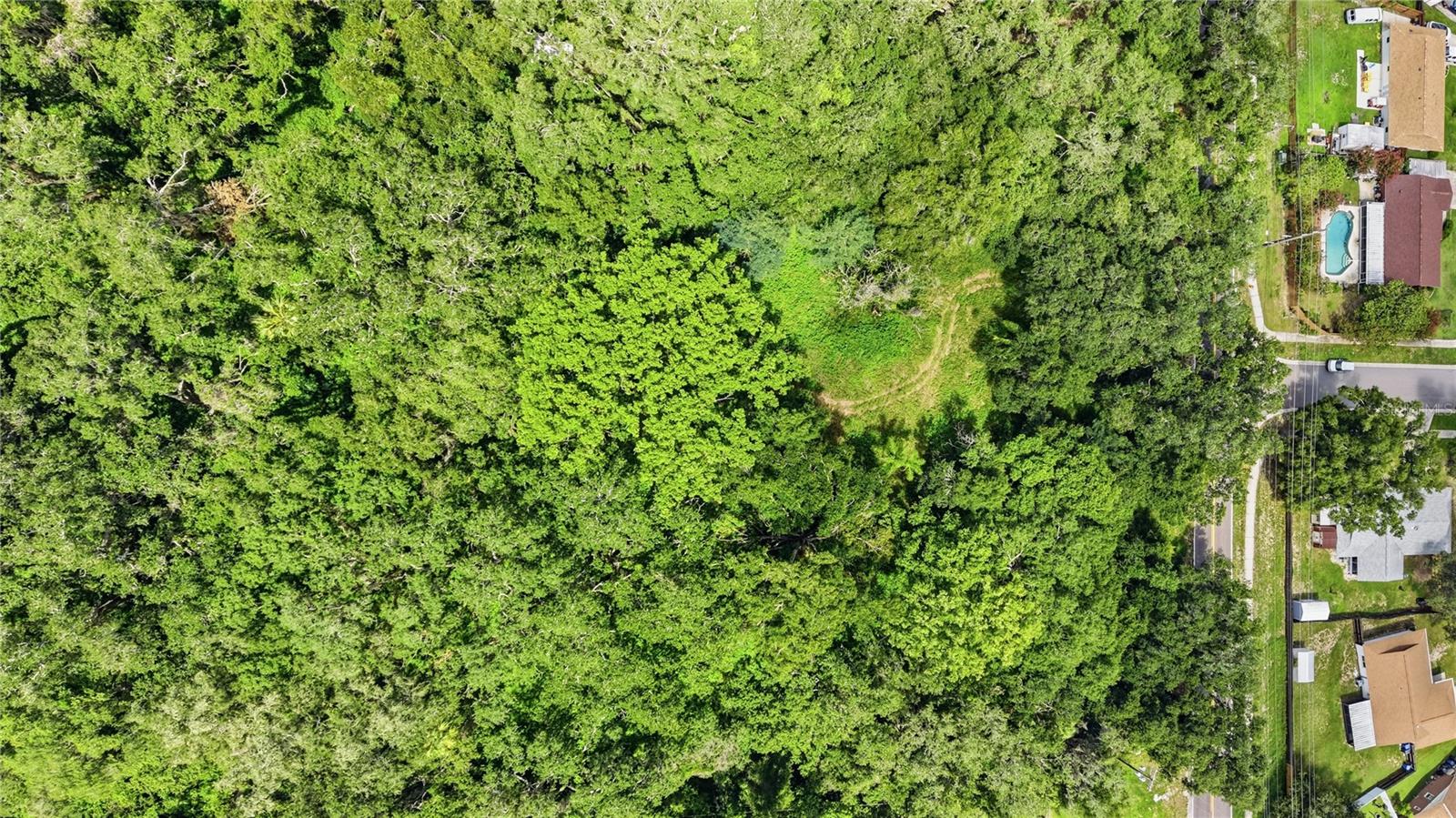 11211 CLAY PIT RD, SEFFNER, FL — photo 7