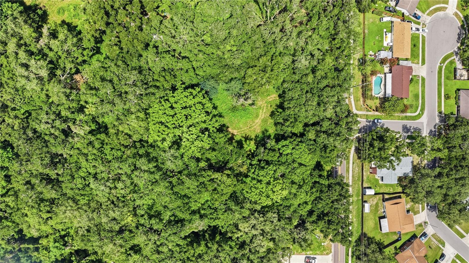 11211 CLAY PIT RD, SEFFNER, FL — photo 8
