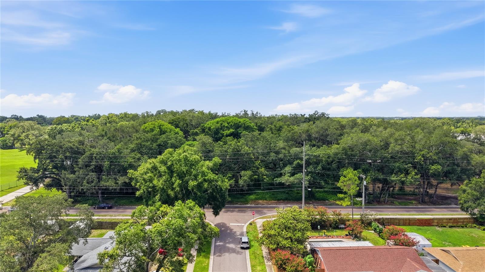 11211 CLAY PIT RD, SEFFNER, FL — photo 12