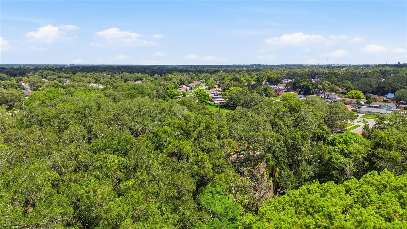 11211 CLAY PIT RD, SEFFNER, FL — photo 14