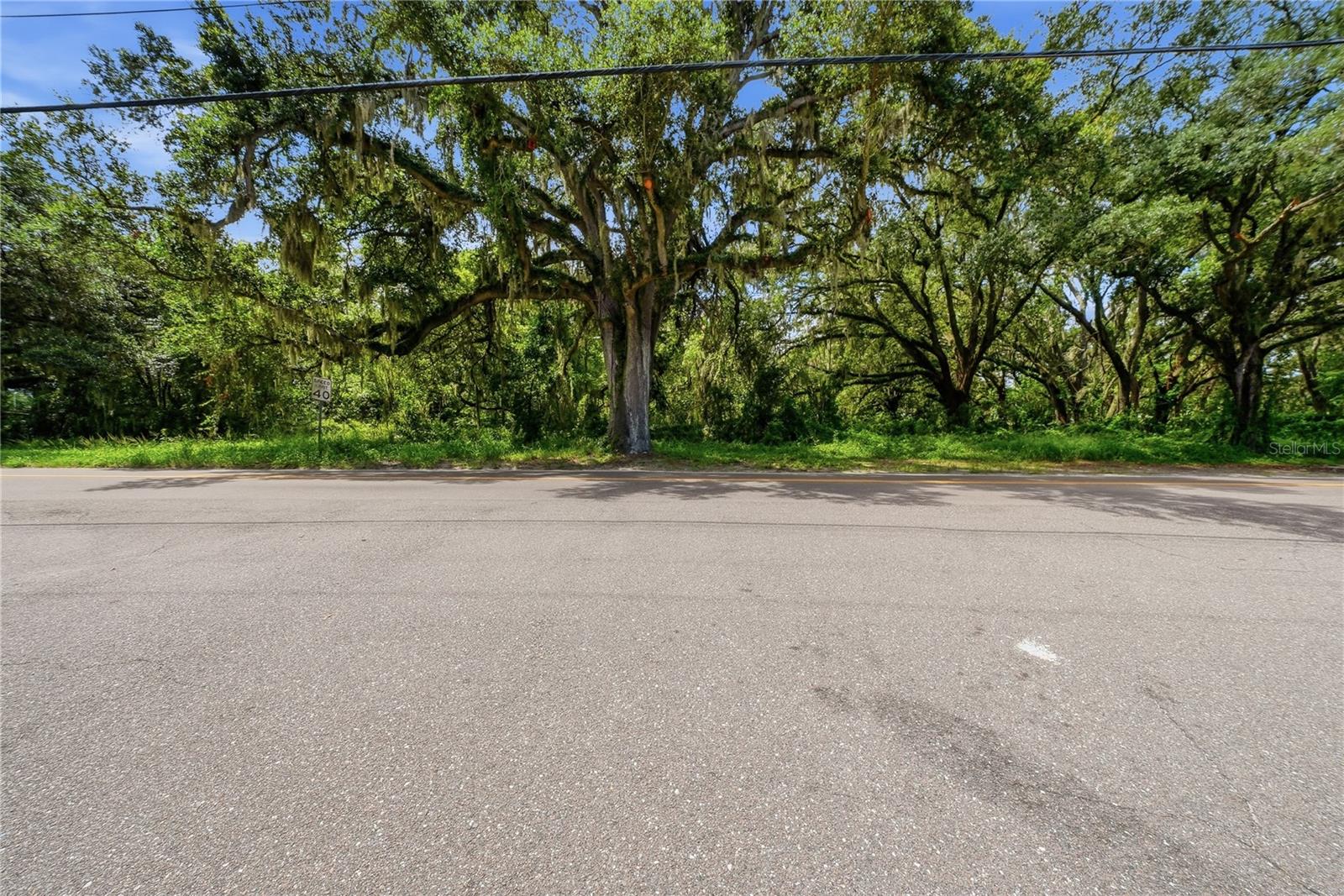11211 CLAY PIT RD, SEFFNER, FL — photo 22