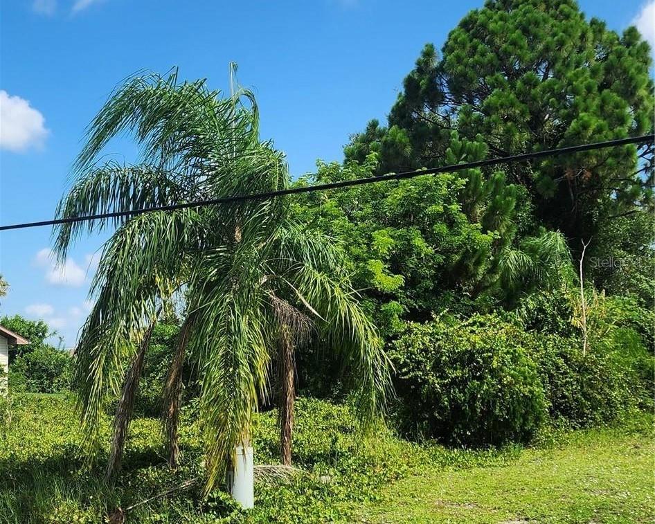 26532 ANGELICA RD, PUNTA GORDA, FL — photo 4