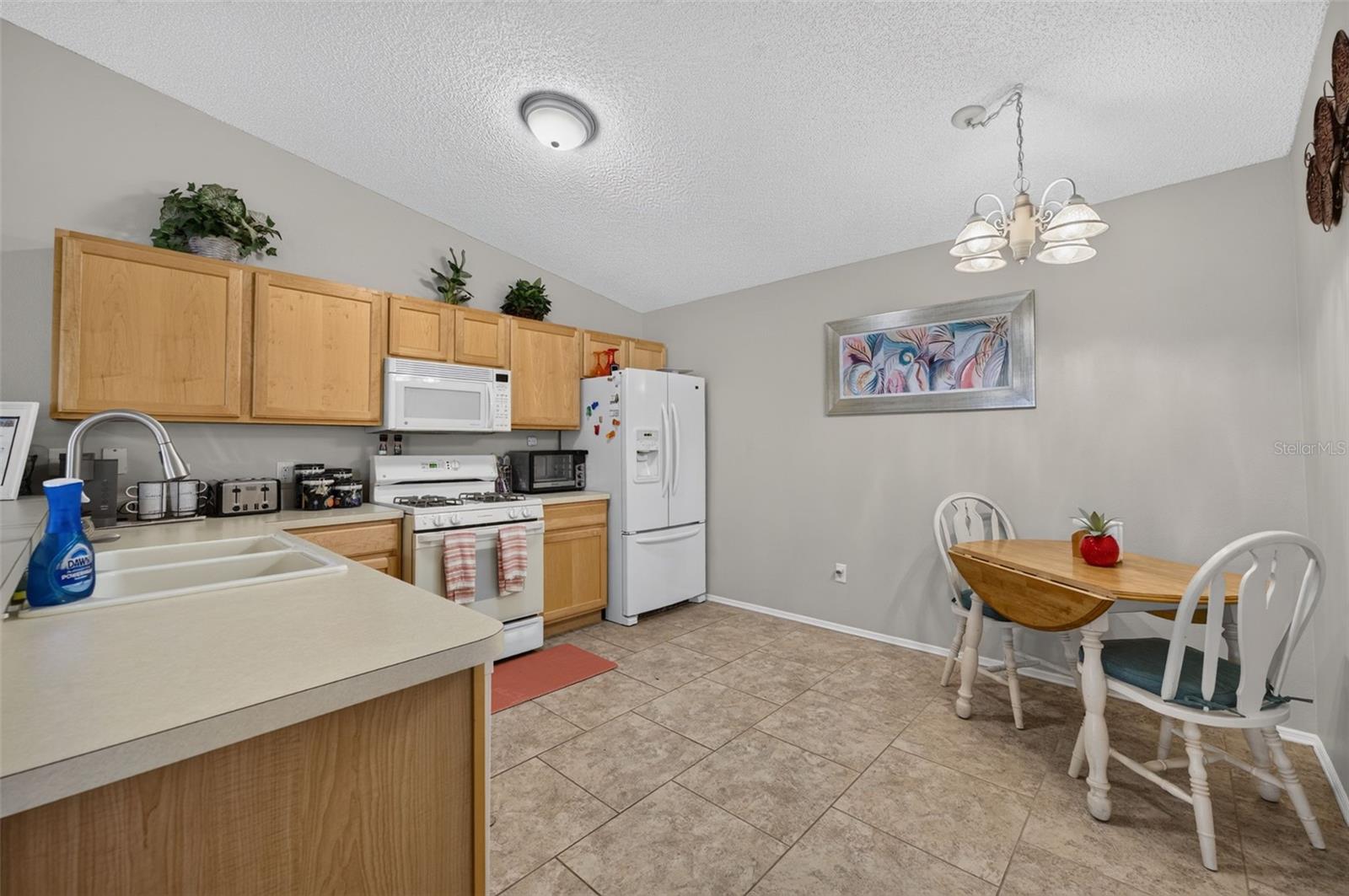 8242 SE 169TH PALOWNIA LOOP, THE VILLAGES, FL — photo 15