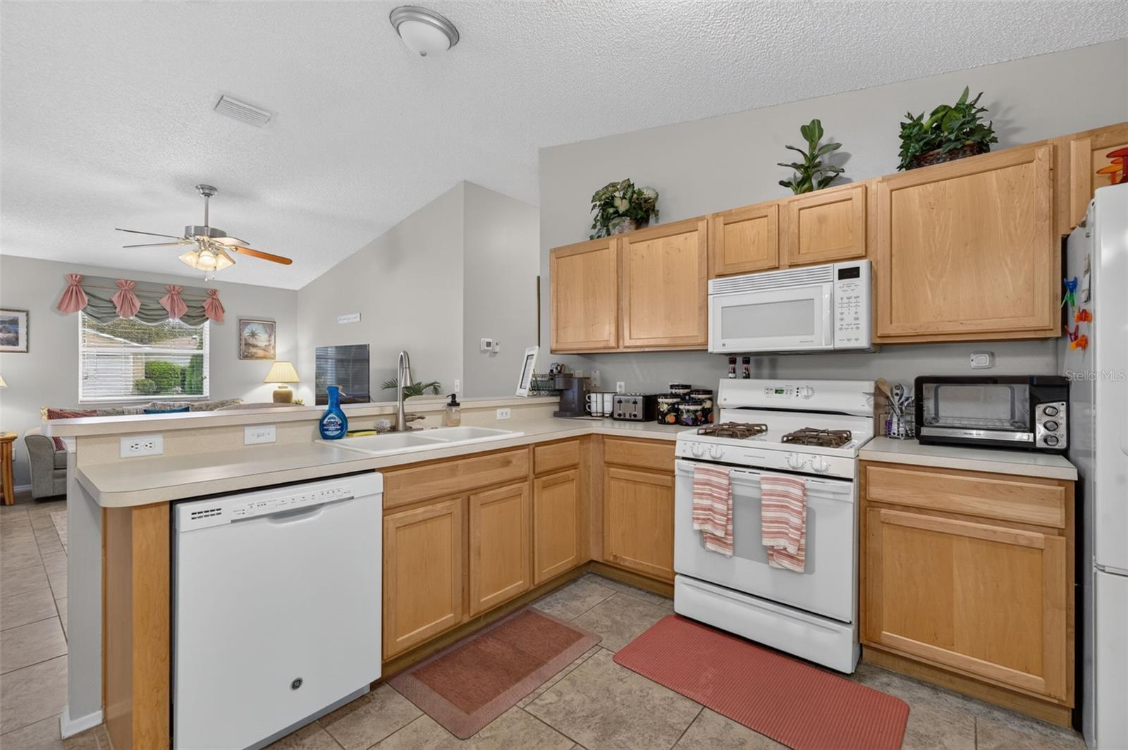 8242 SE 169TH PALOWNIA LOOP, THE VILLAGES, FL — photo 17