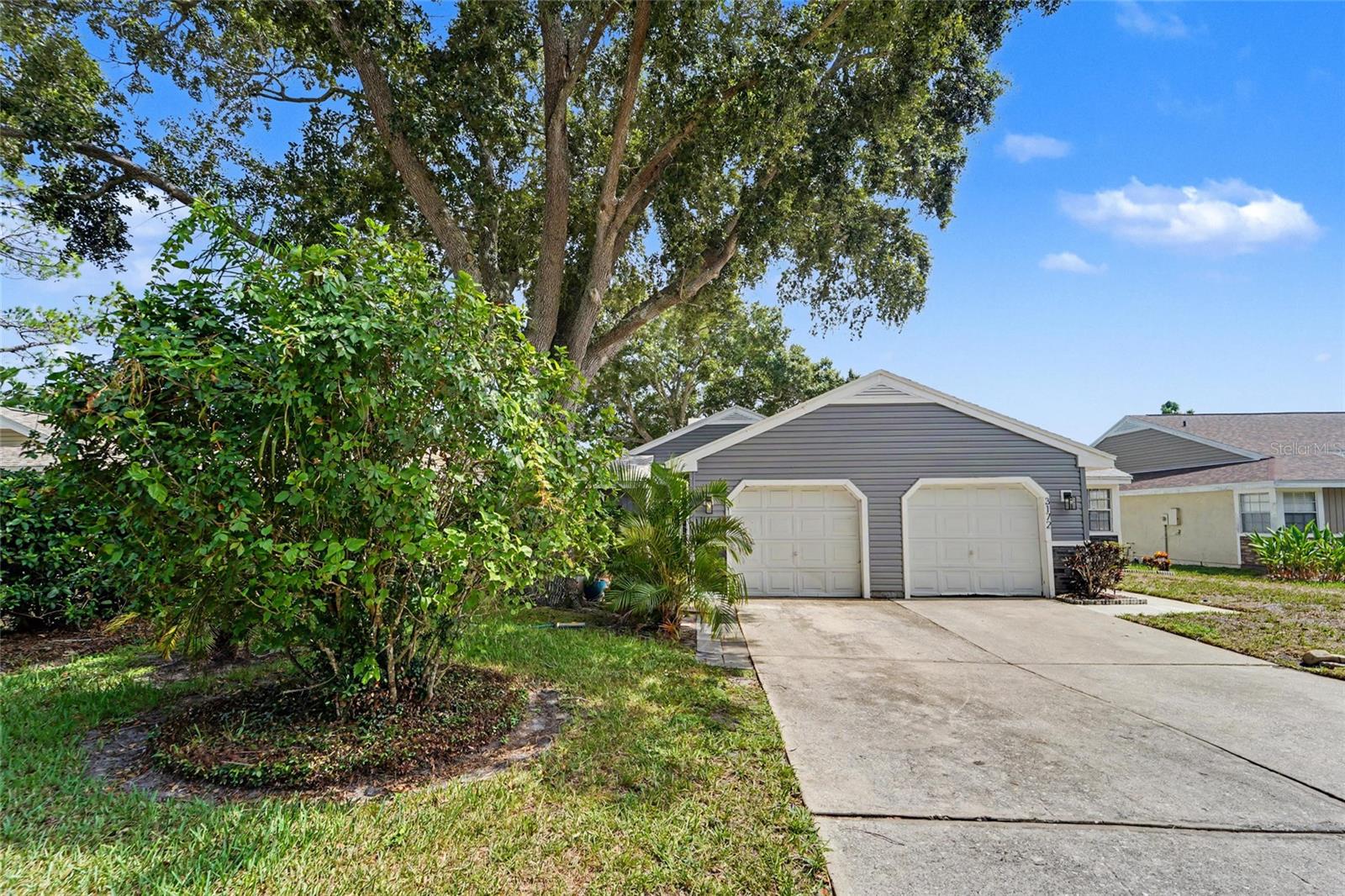 3174 PHLOX DR, PALM HARBOR, FL — photo 2