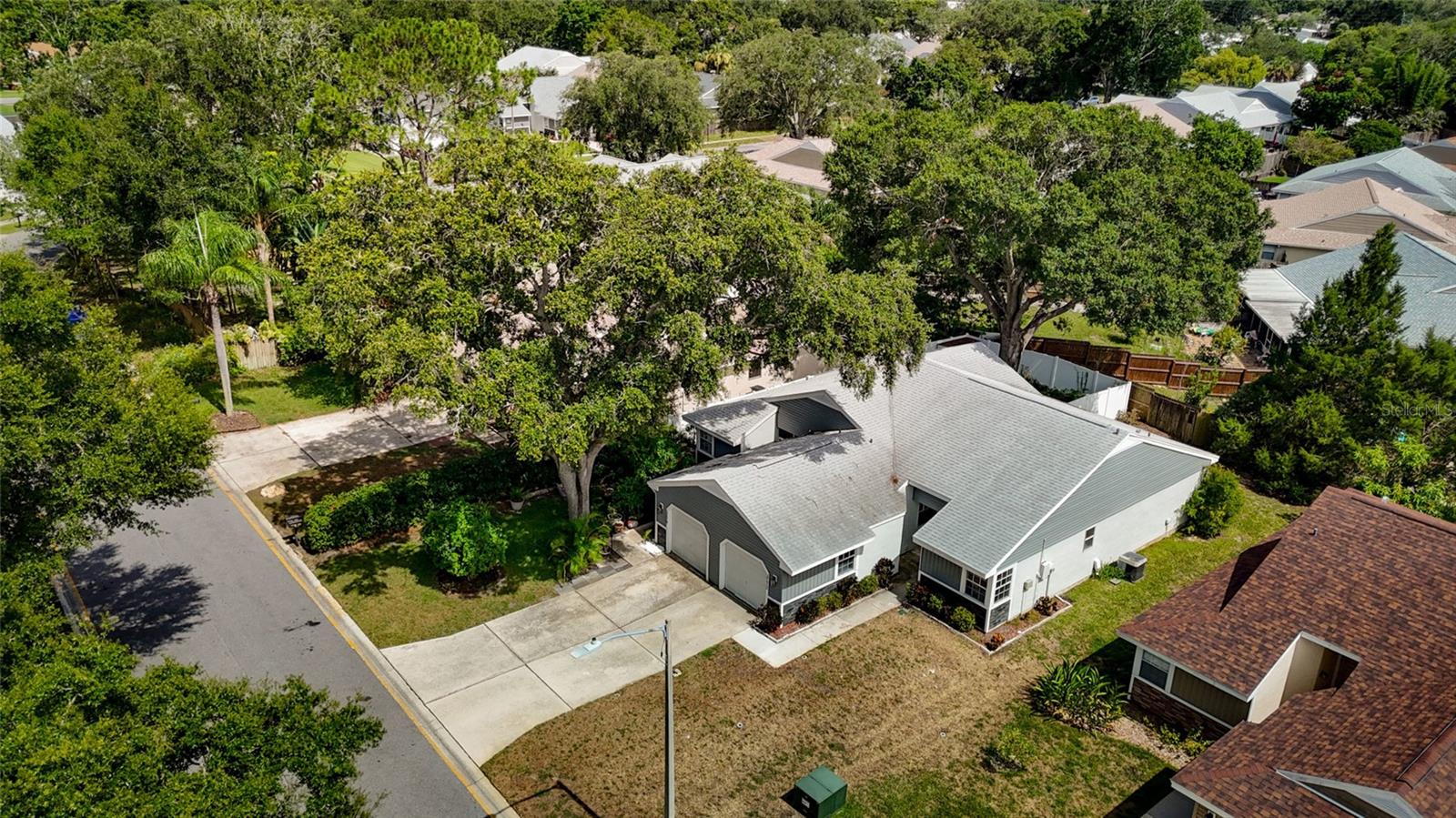 3174 PHLOX DR, PALM HARBOR, FL — photo 3