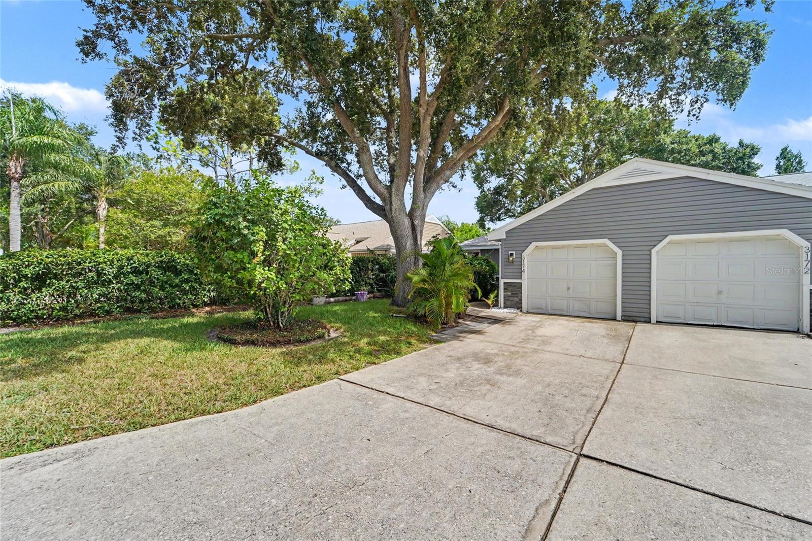 3174 PHLOX DR, PALM HARBOR, FL — photo 4