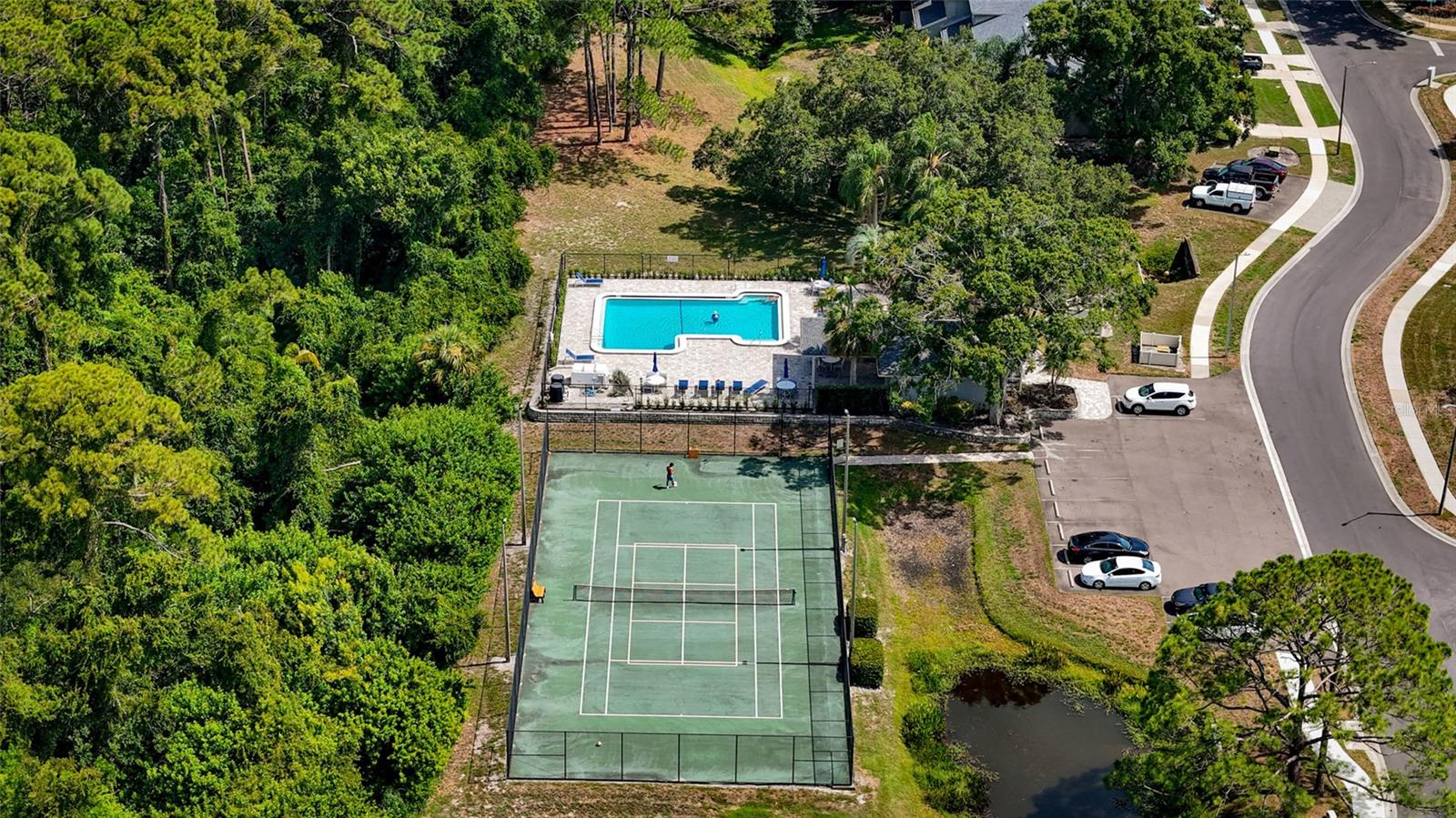 3174 PHLOX DR, PALM HARBOR, FL — photo 5