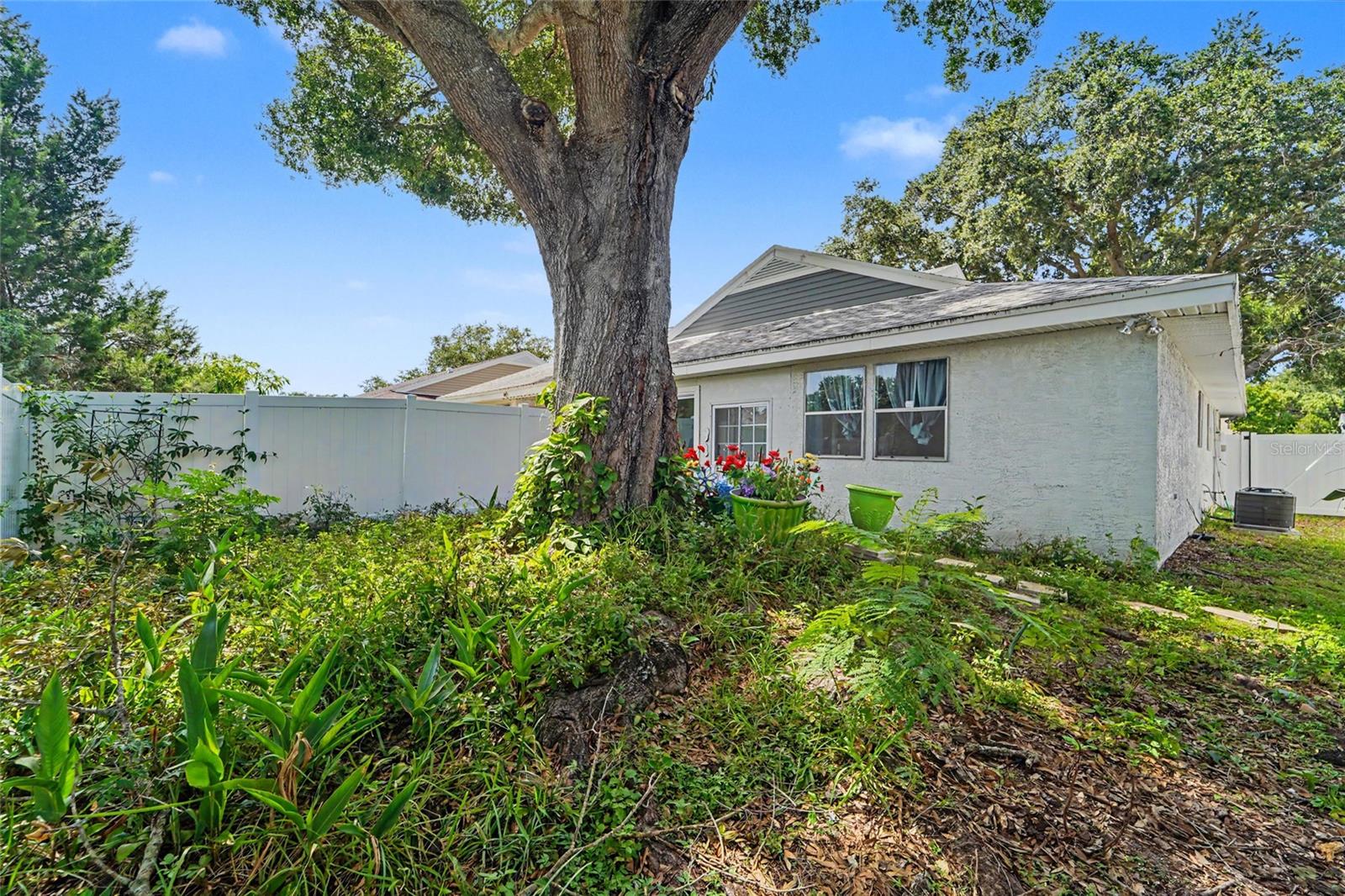 3174 PHLOX DR, PALM HARBOR, FL — photo 26
