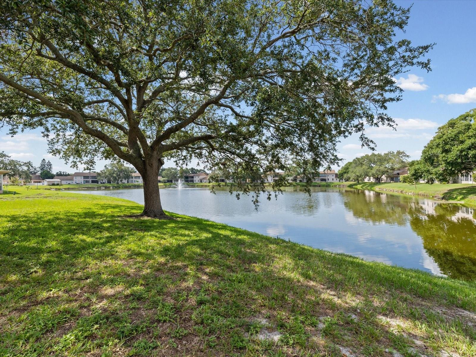 3806 STAYSAIL LN, HOLIDAY, FL — photo 6