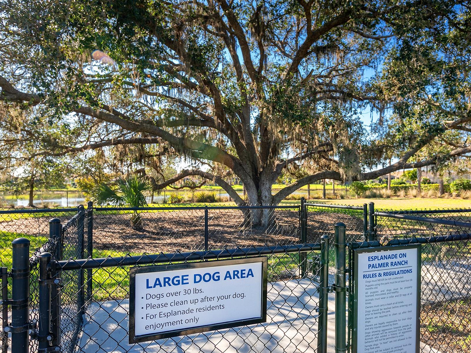 5365 SALCANO ST, SARASOTA, FL — photo 44