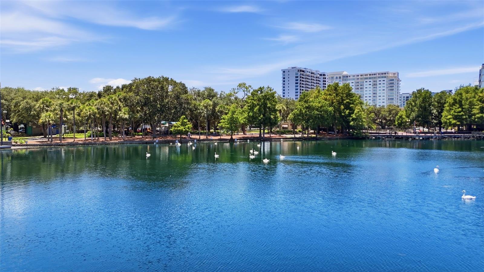 1 S EOLA DR #13, ORLANDO, FL — photo 44