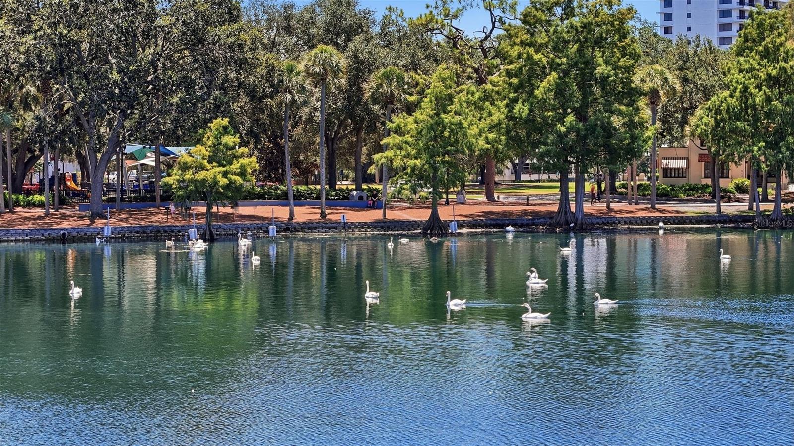 1 S EOLA DR #13, ORLANDO, FL — photo 45
