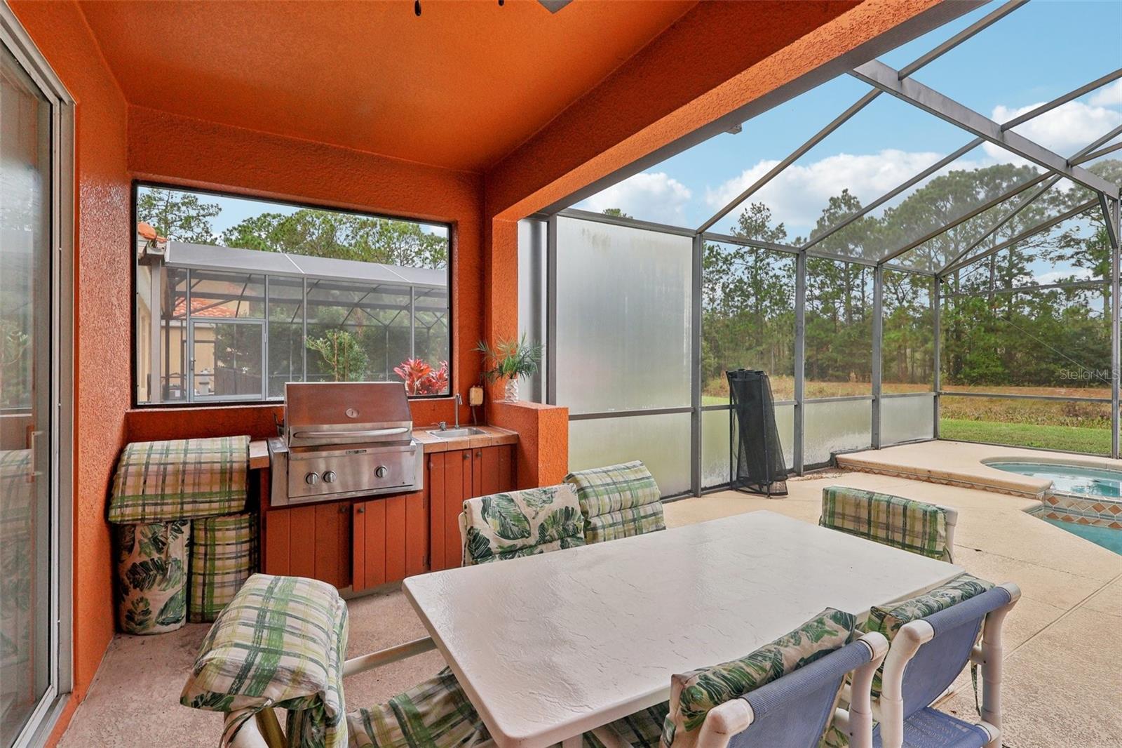 334 ORANGE COSMOS BLVD, DAVENPORT, FL — photo 11